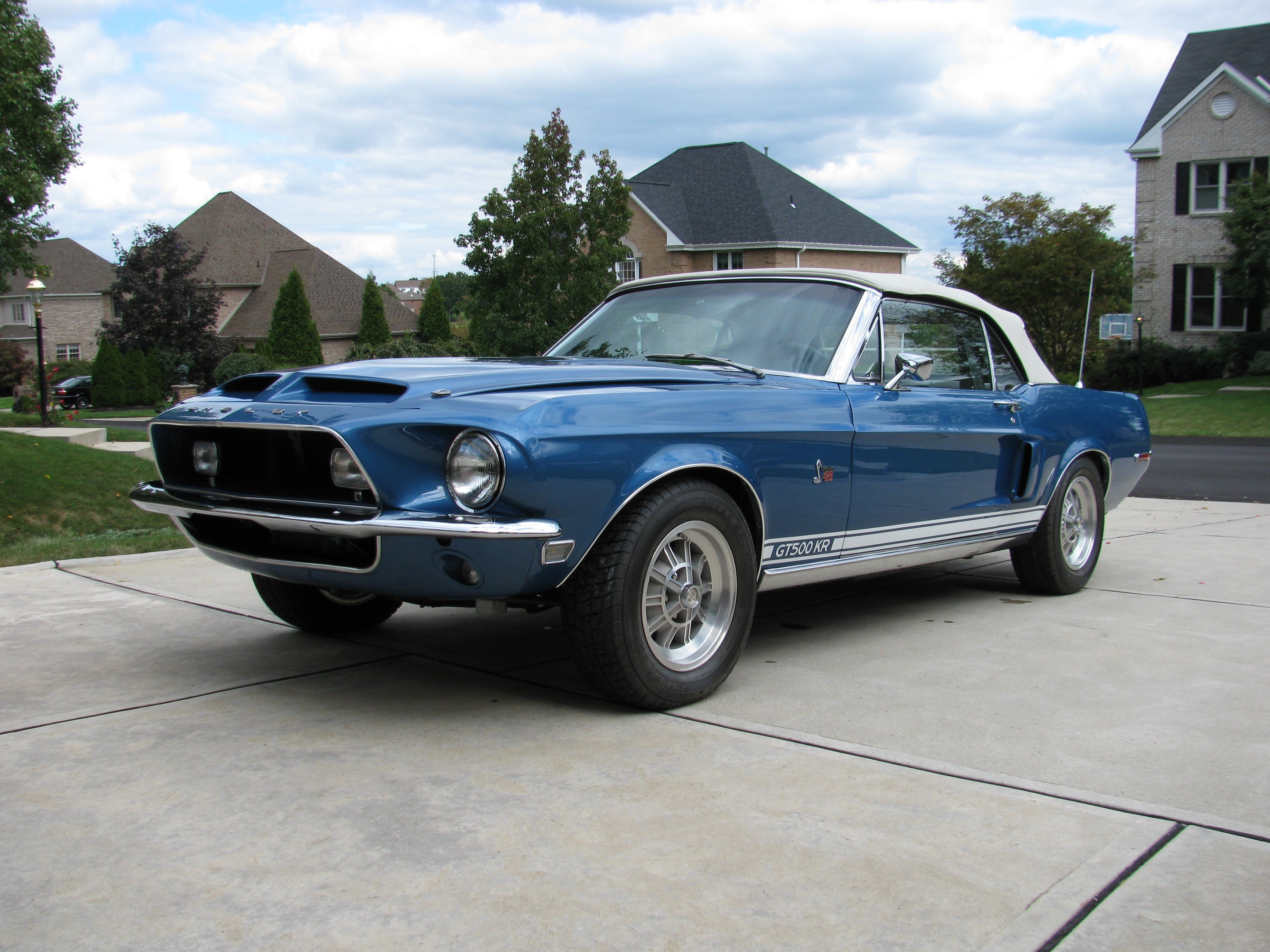 Blue Car Car Muscle Car Shelby Cobra Gt500 King Of The Road 3456x2592