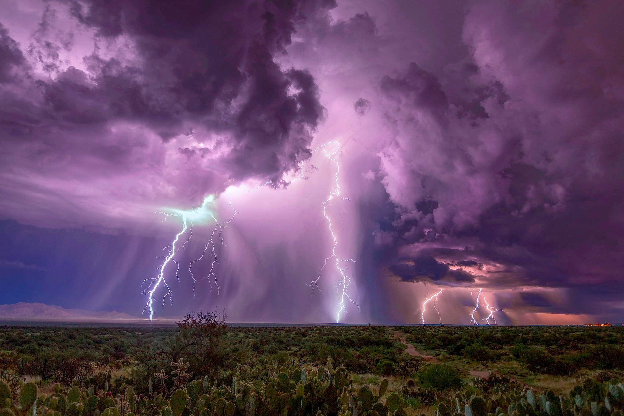 Cactus Cloud Desert Horizon Lightning Night Storm 2048x1365