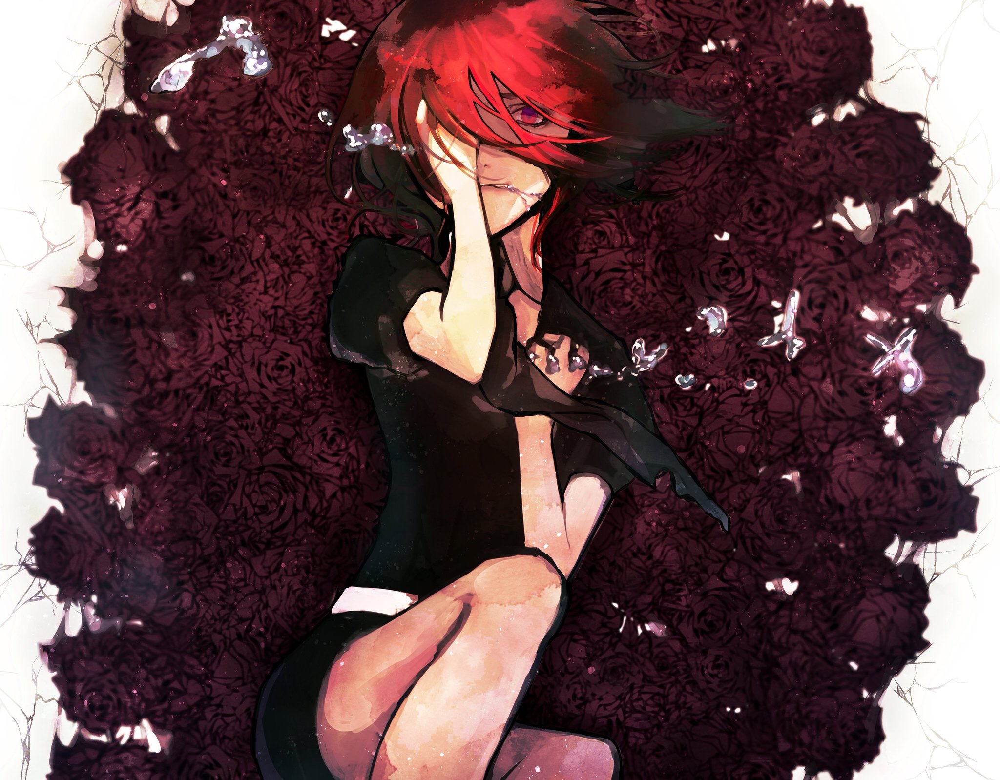 Cinnabar Houseki No Kuni 2048x1598