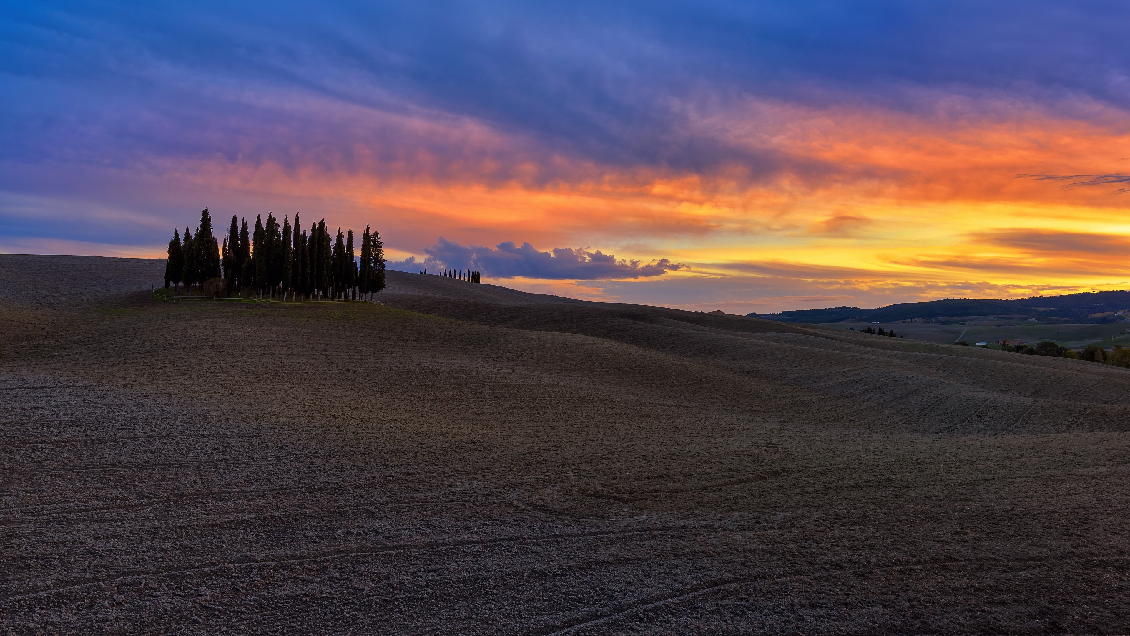Cypress Landscape Sunset Tuscany 3840x2160