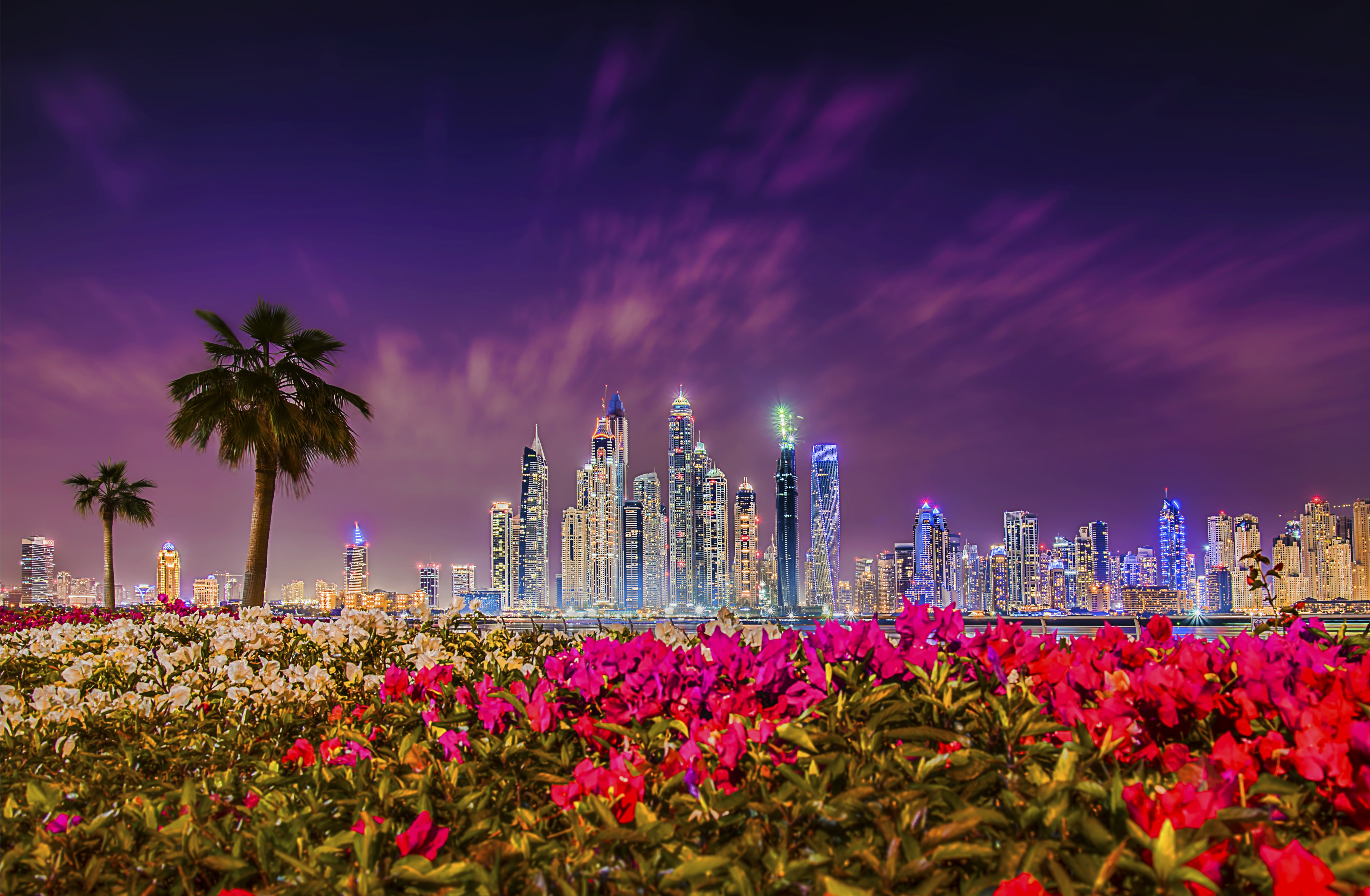 Building City Dubai Flower Night Skyscraper United Arab Emirates 5043x3300