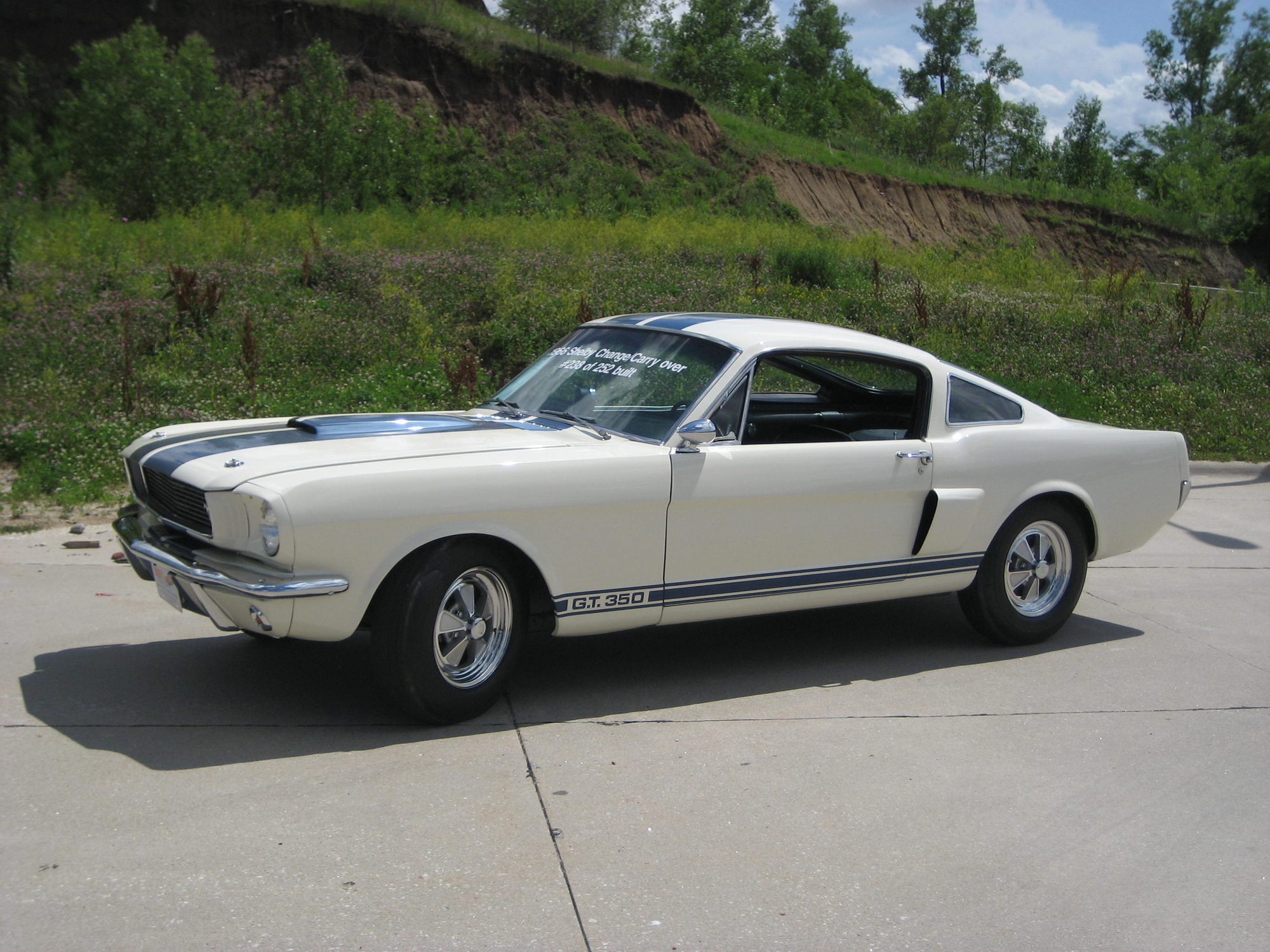 Car Fastback Ford Shelby Gt350 Muscle Car White Car 2000x1500