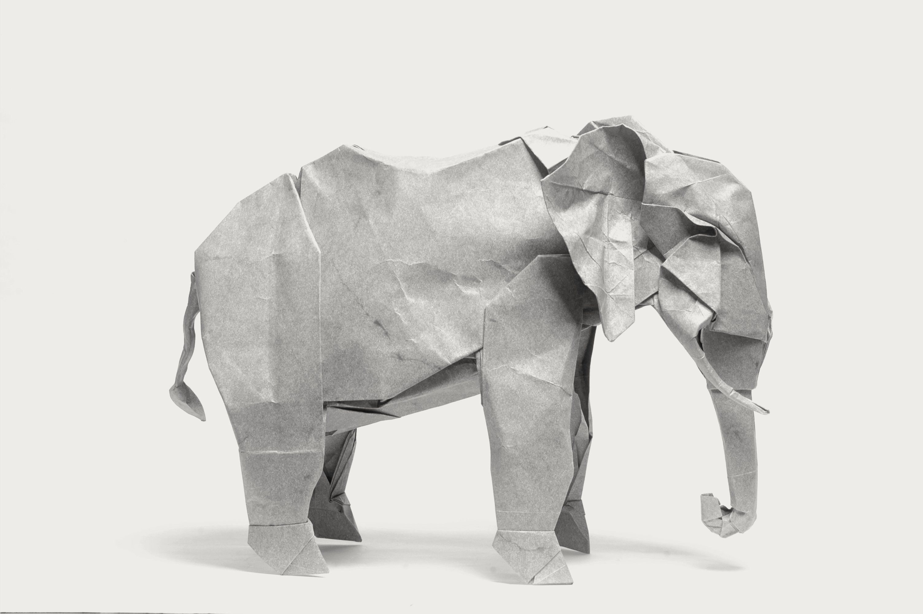 Elephant Origami 3008x2000