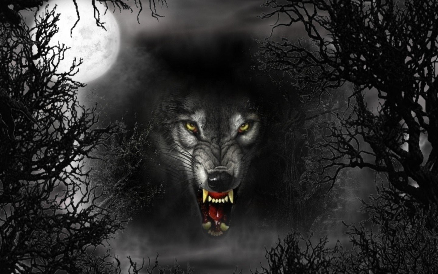 Close Up Face Fangs Fantasy Moon Werewolf 1440x900