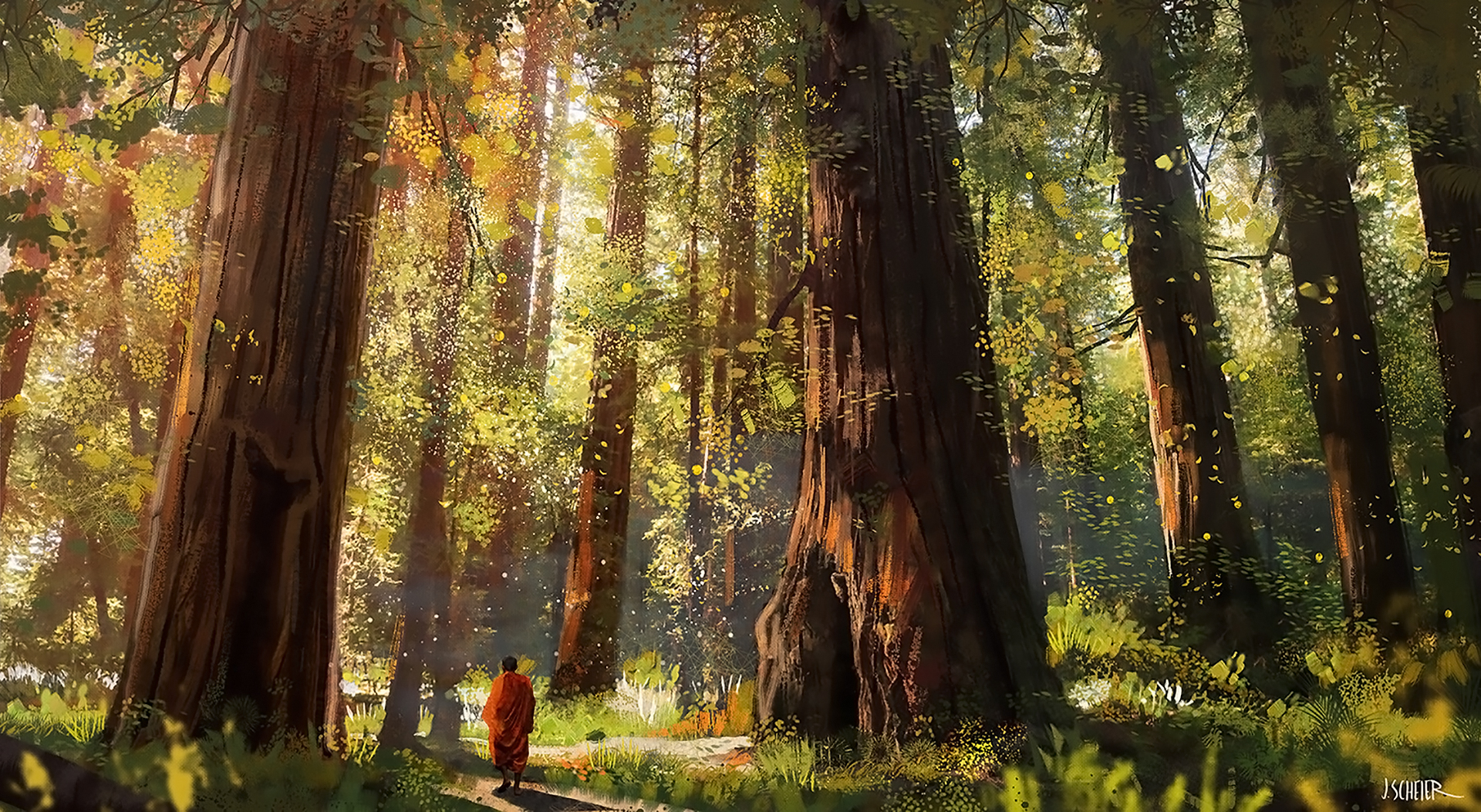 Forest Monk Peace Tree 1920x1053