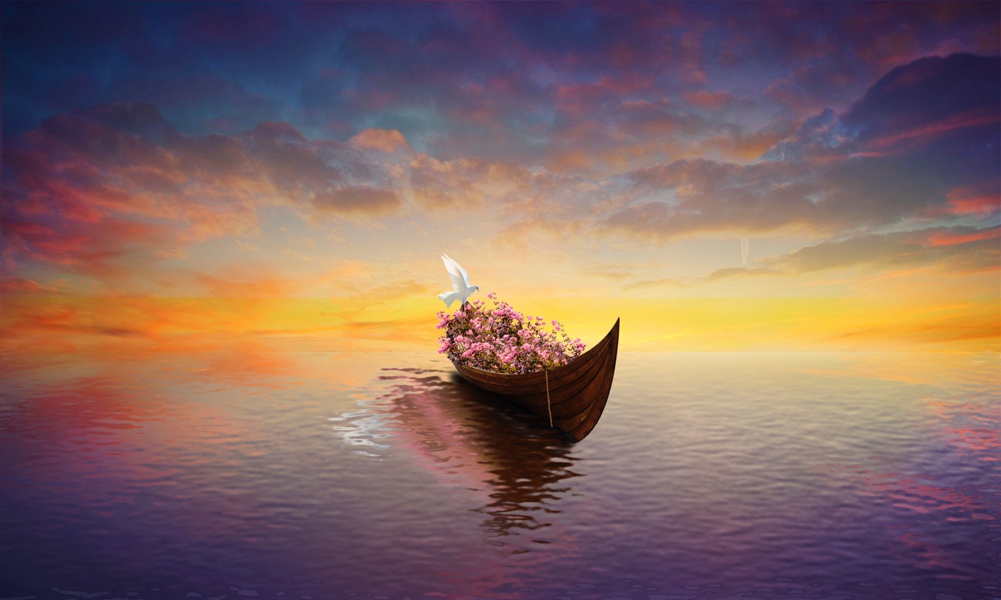 Artistic Canoe Dove Flower Horizon 2000x1200