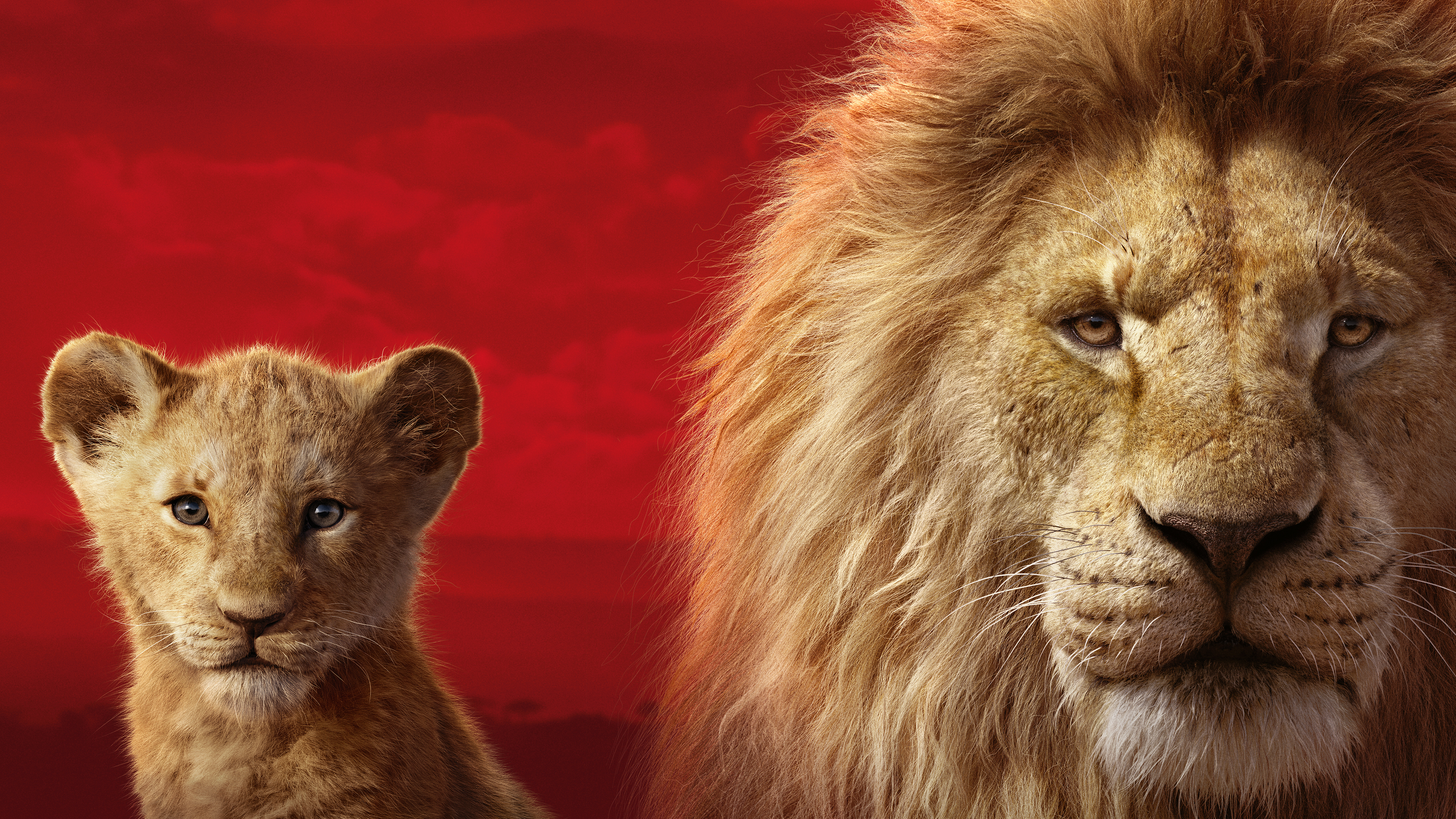 Simba The Lion King 2019 5120x2880