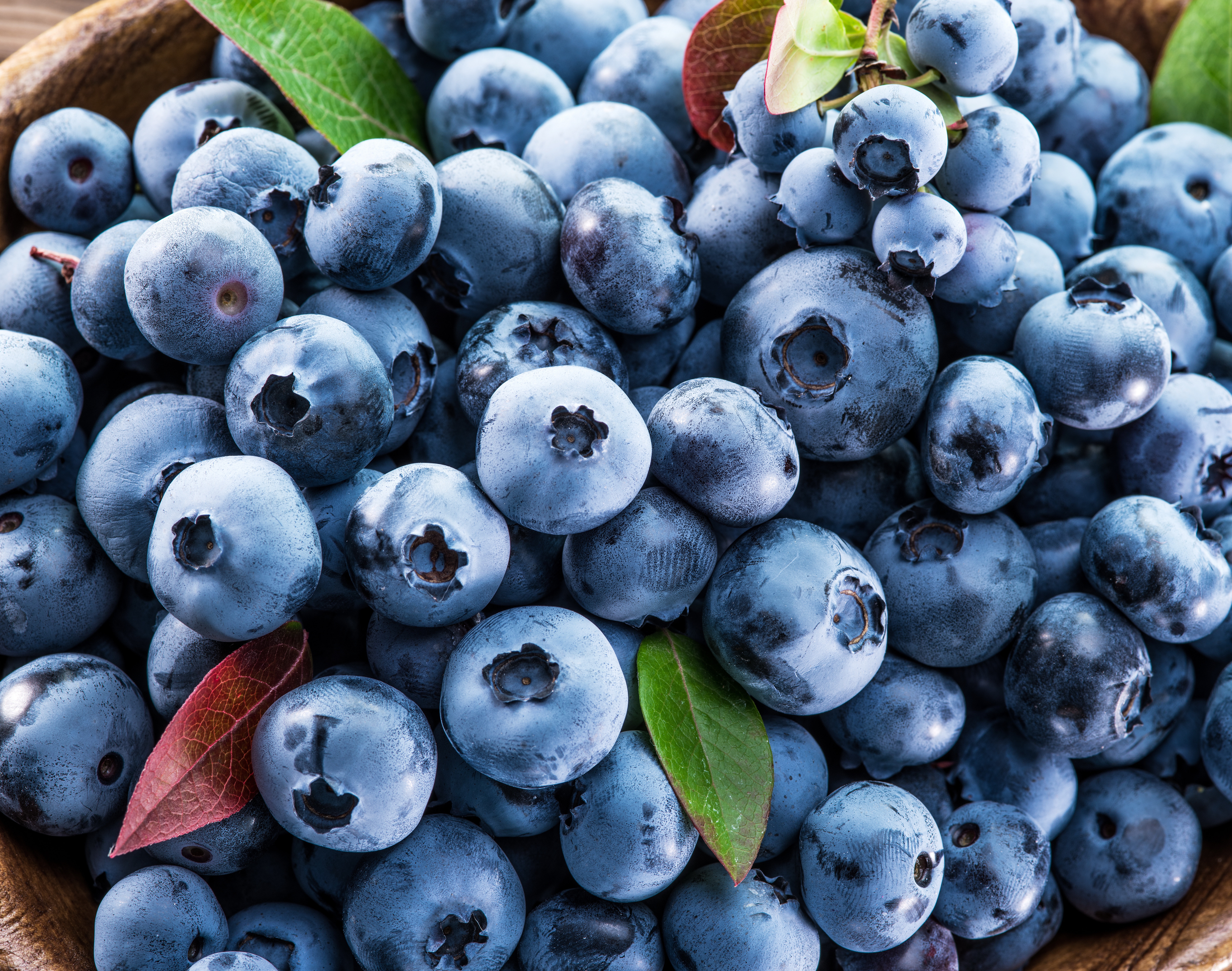 Berry Blueberry Fruit 7777x6133