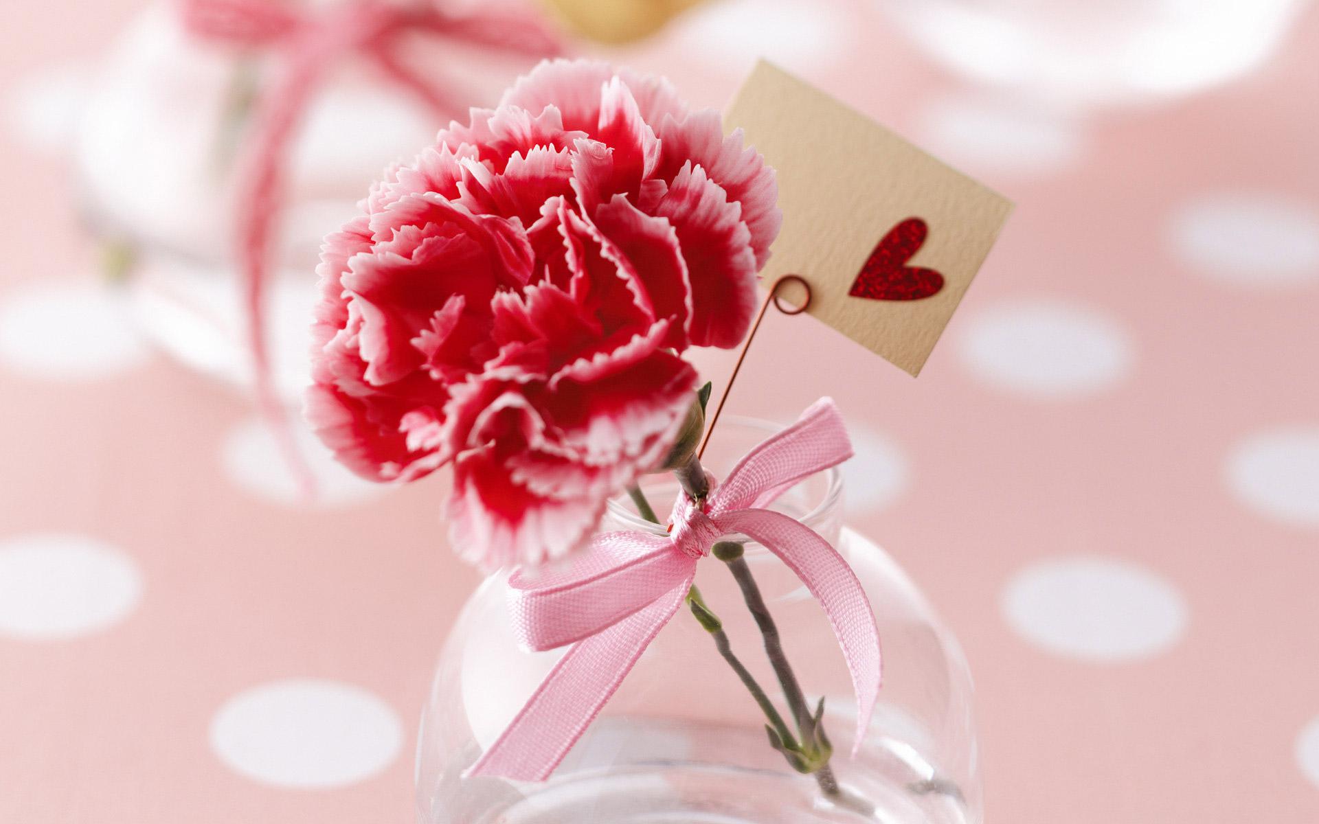 Carnation Flower Heart Pink Valentine 039 S Day 1920x1200