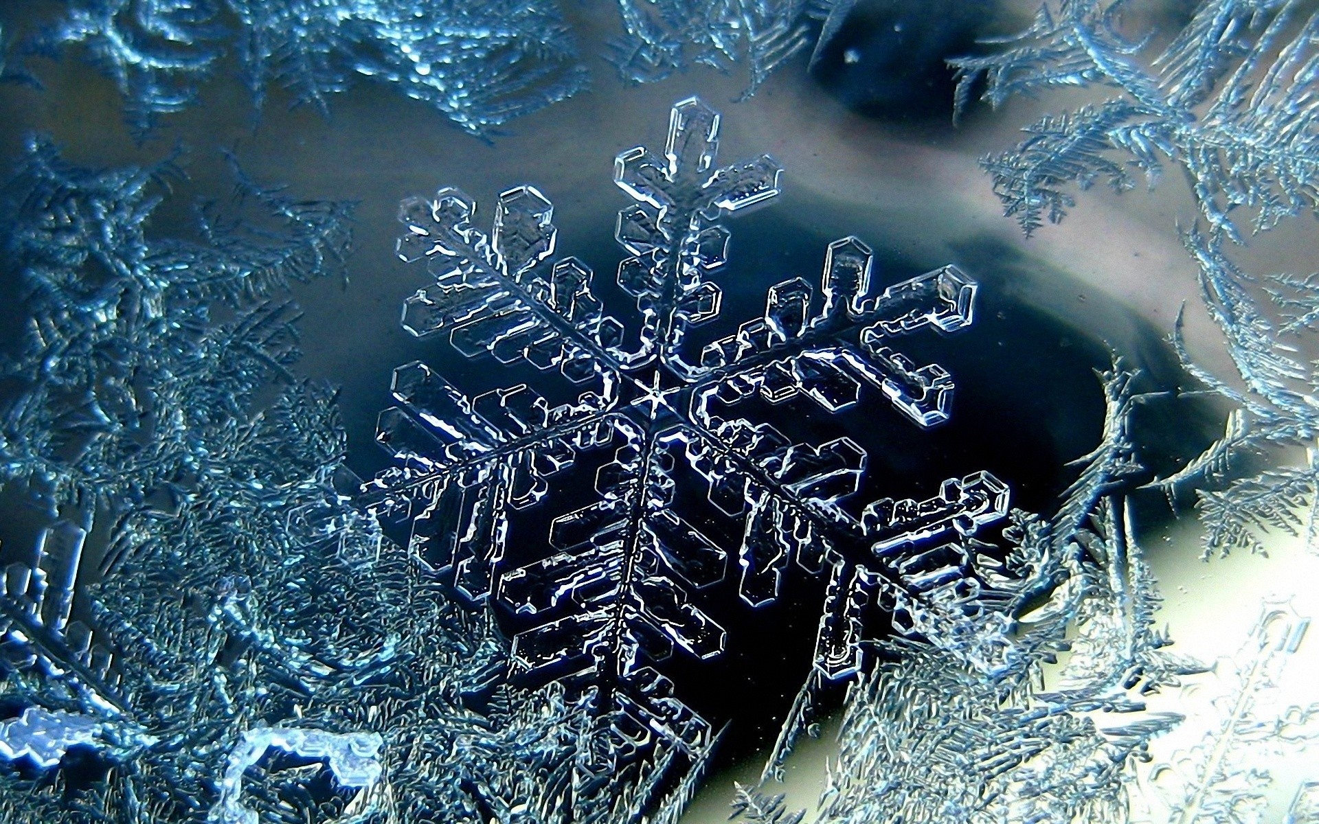 Macro Snowflake 1920x1200