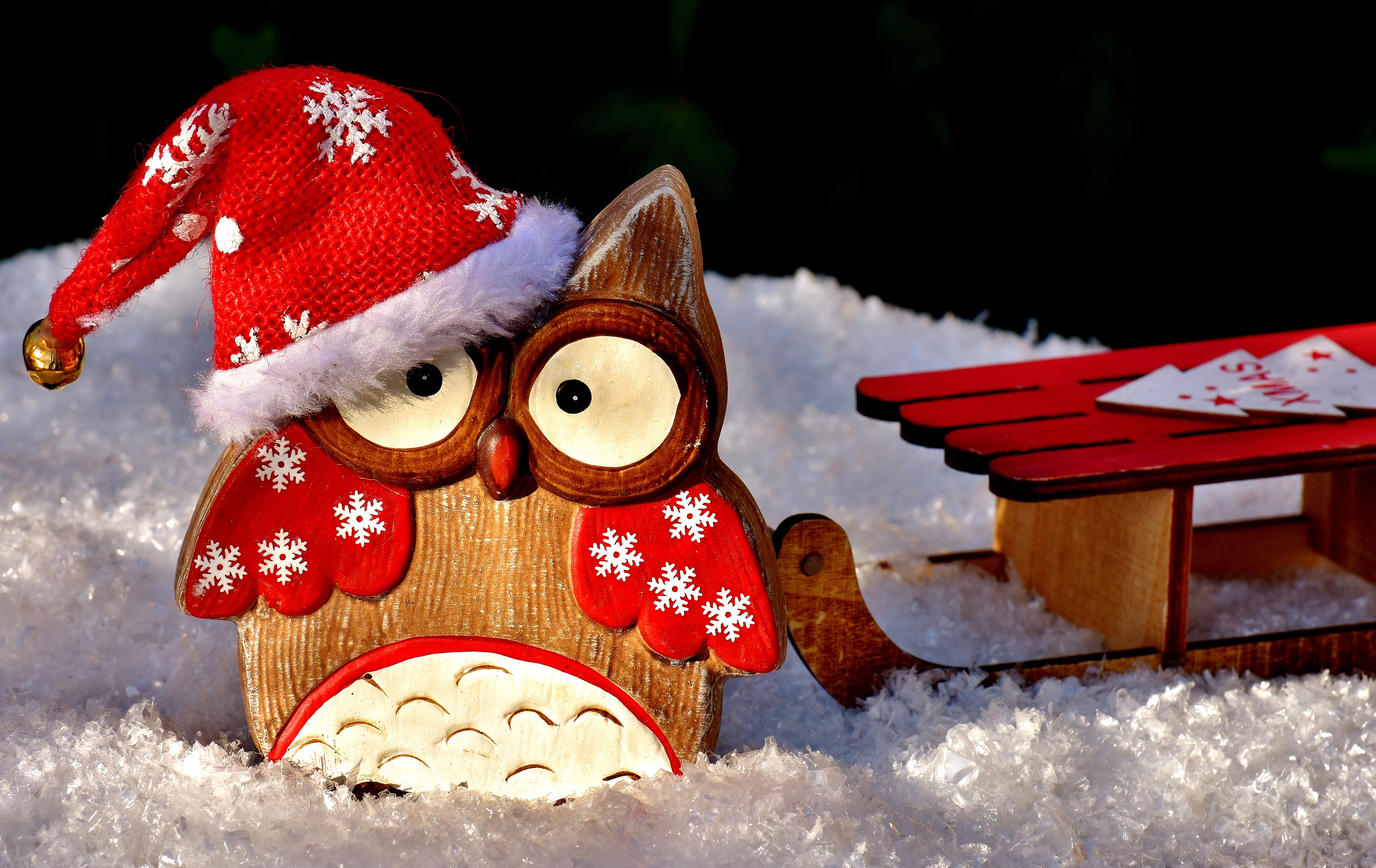 Christmas Owl Santa Hat Sled Snow 5567x3512