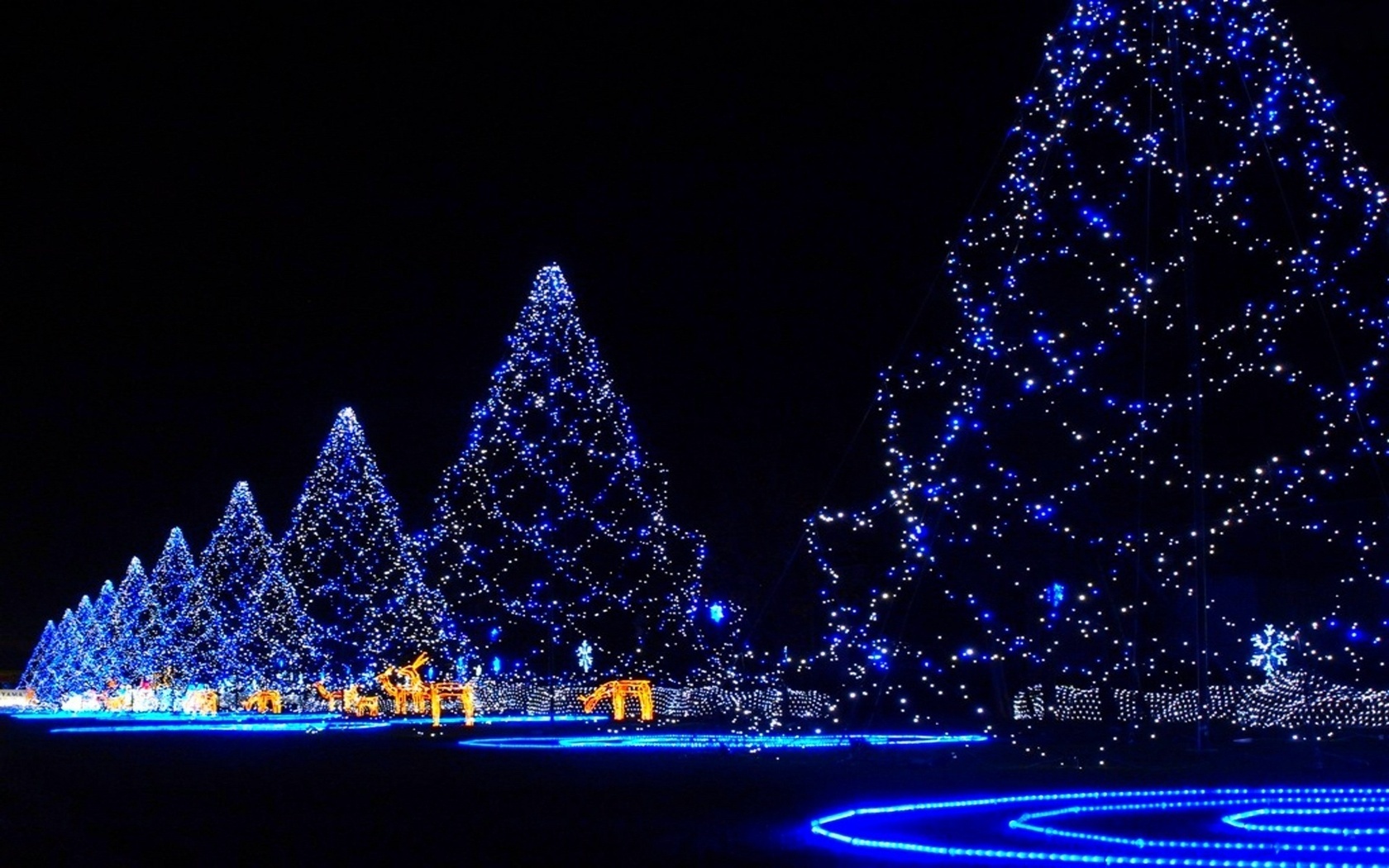 Blue Christmas Christmas Lights Christmas Tree Light Night 1680x1050