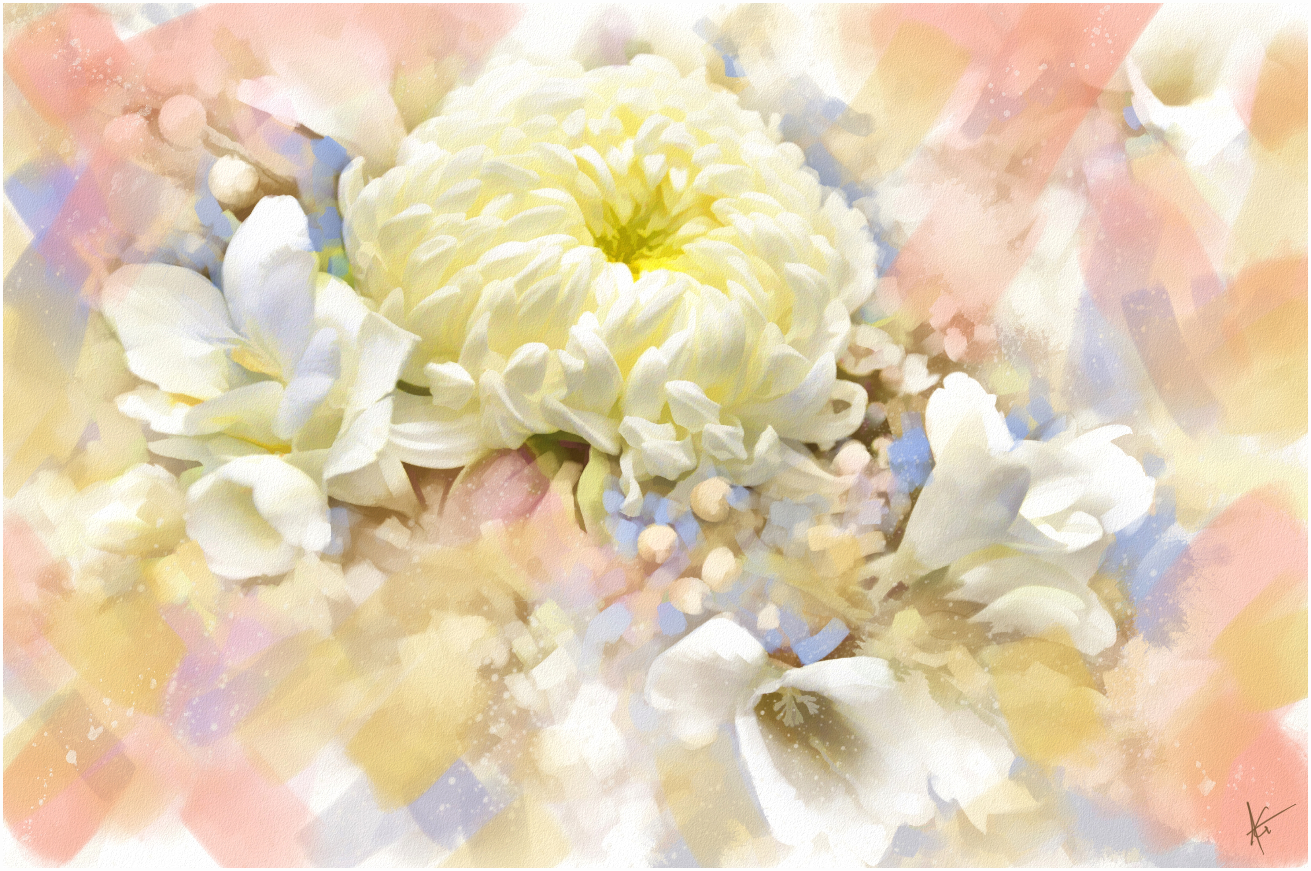 Artistic Chrysanthemum Flower Painting White Flower 4288x2848