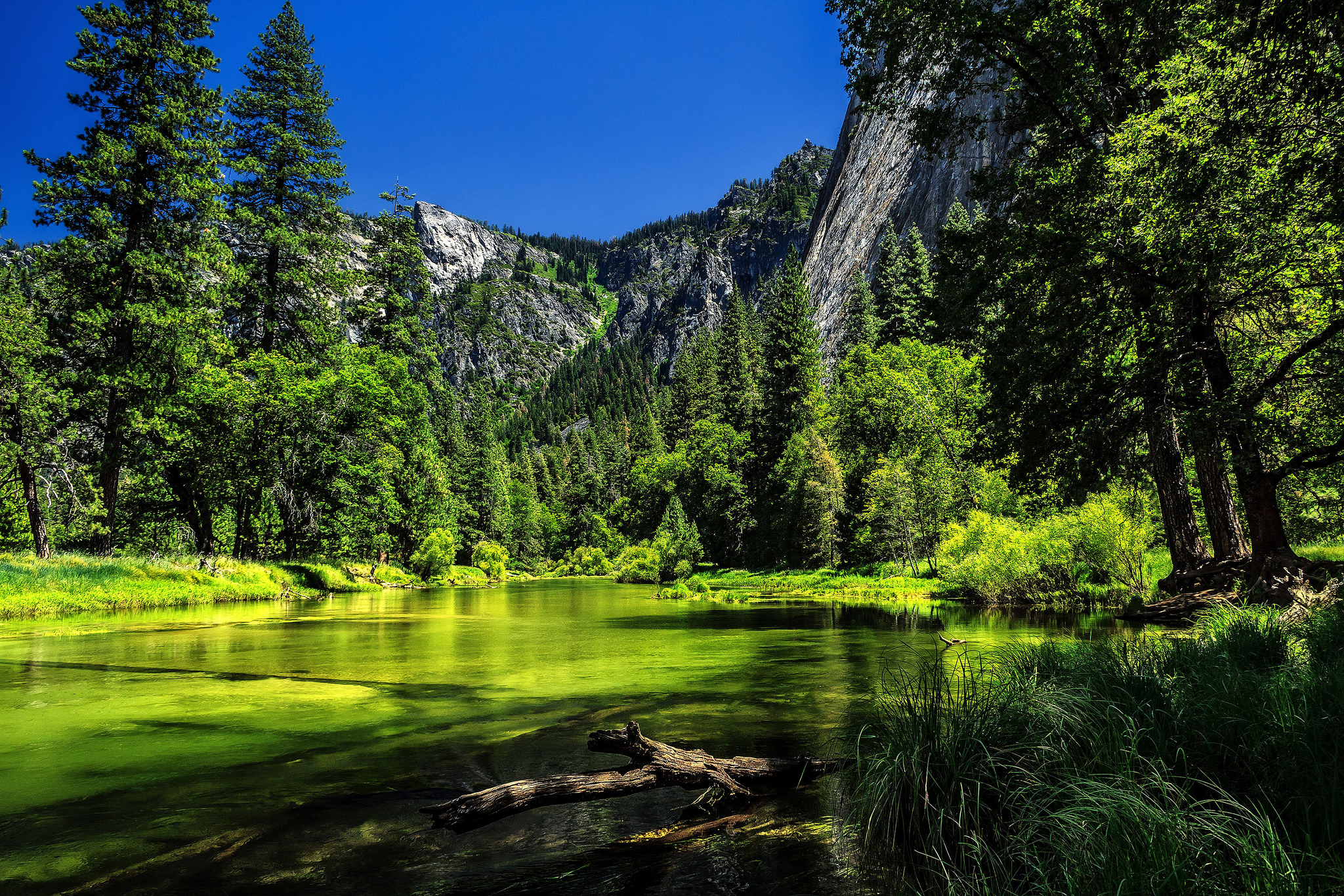 California Forest Green Lake Mountain Nature Yosemite National Park 2048x1365