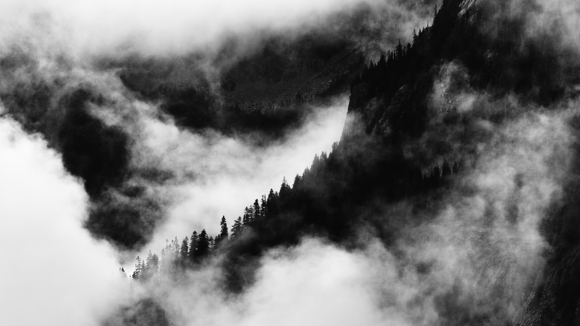 Nature Clouds Mist Trees Mountains Monochrome Washington USA 1920x1080