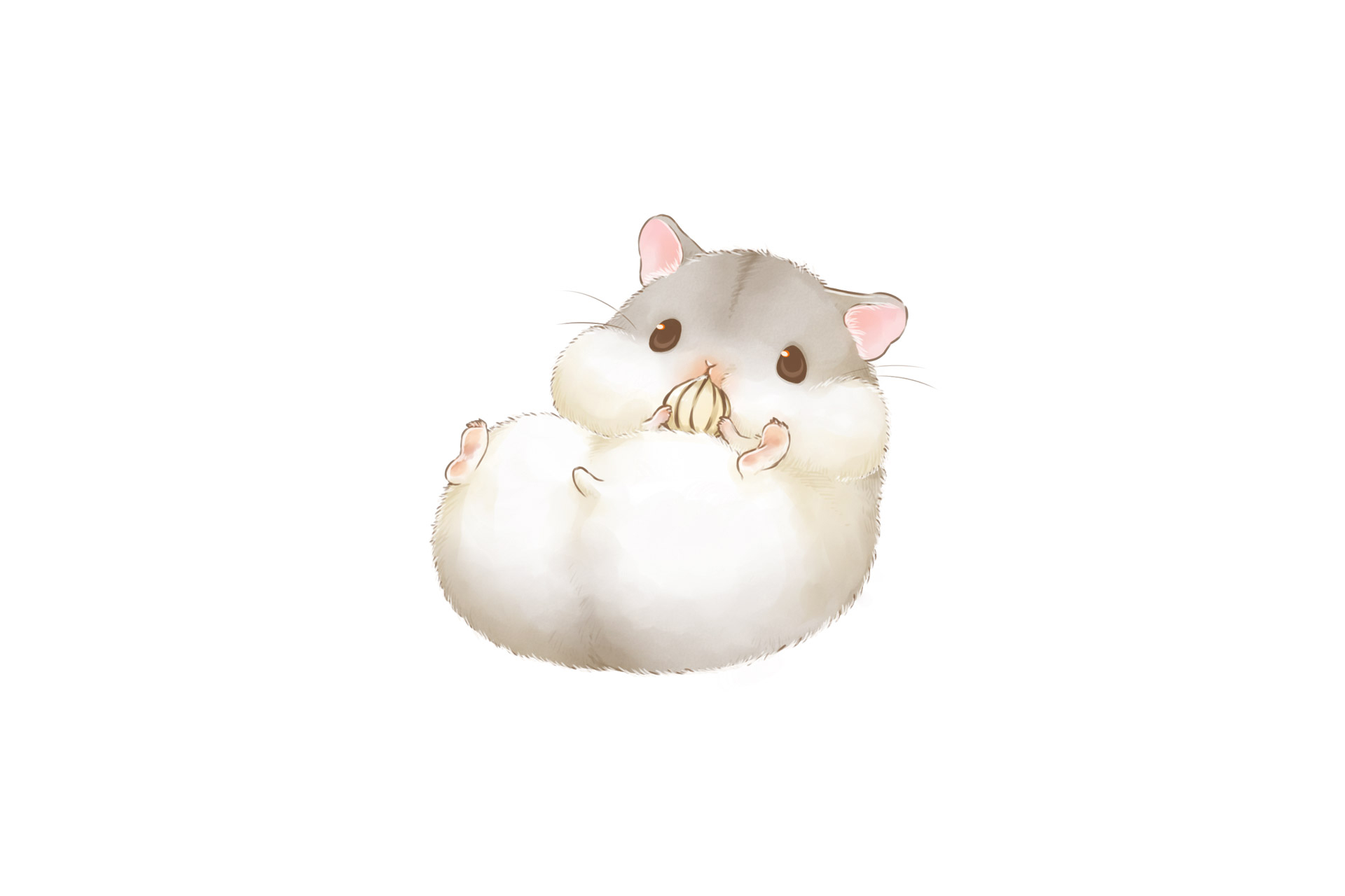 Cute Eating Hamster 1920x1280
