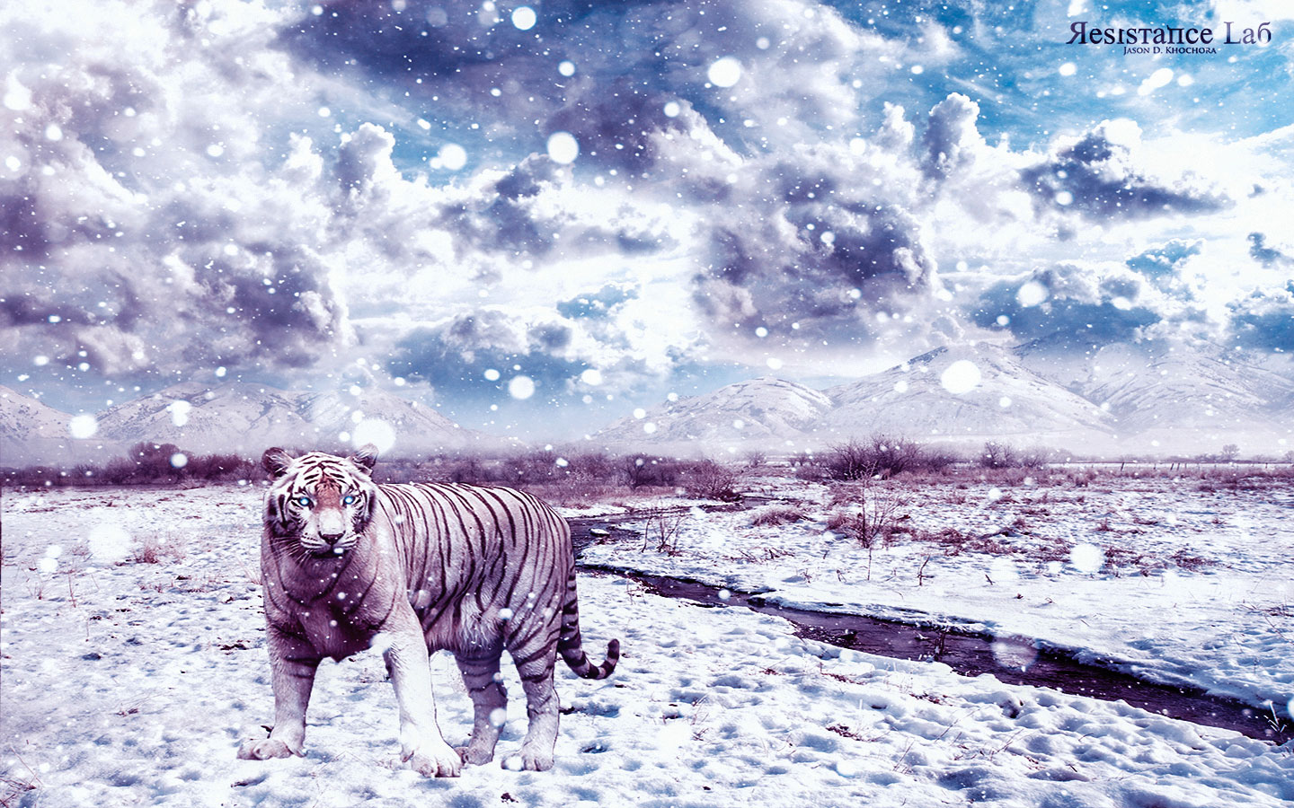 Tiger 1440x900