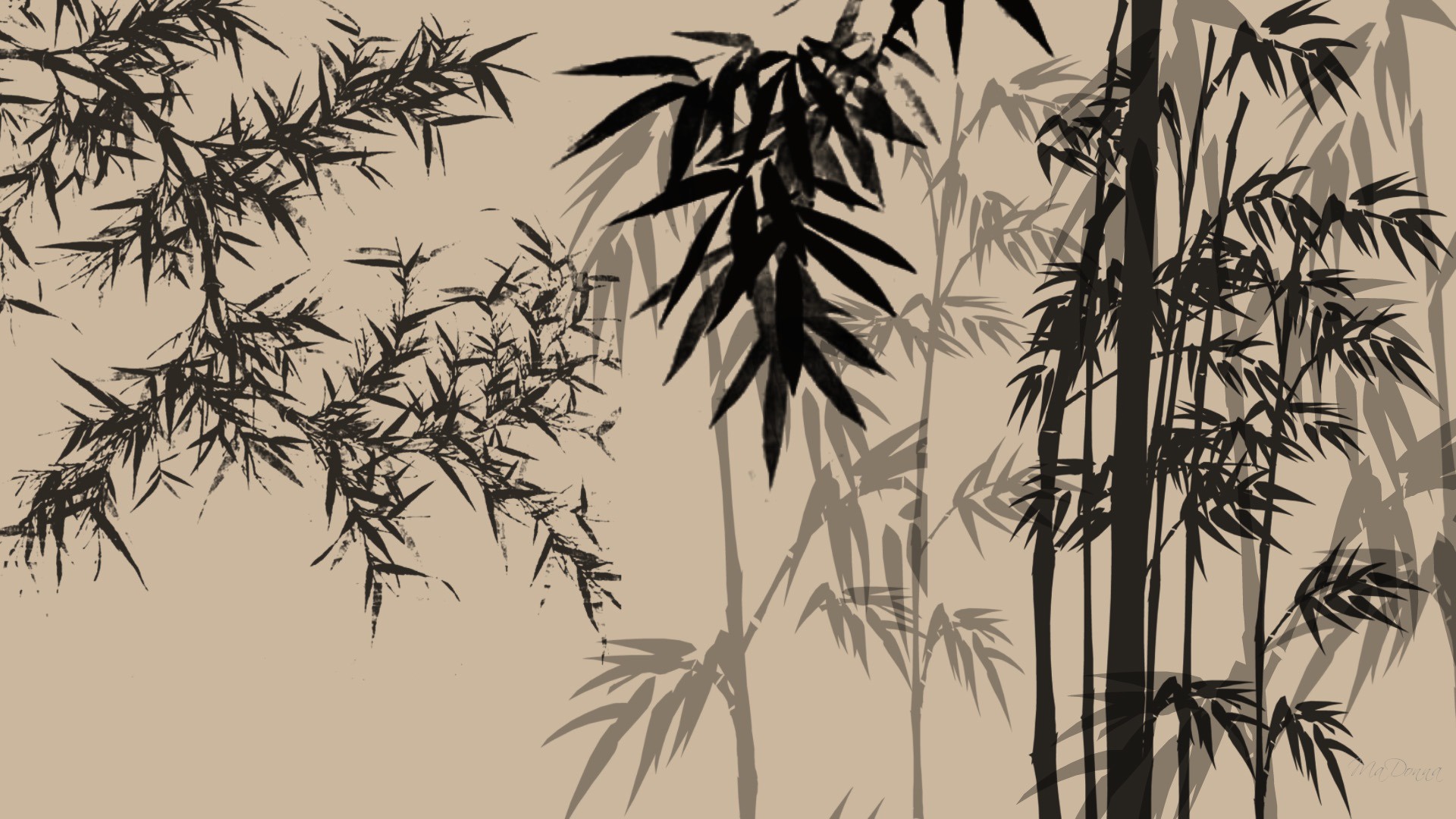 Bamboo 1920x1080