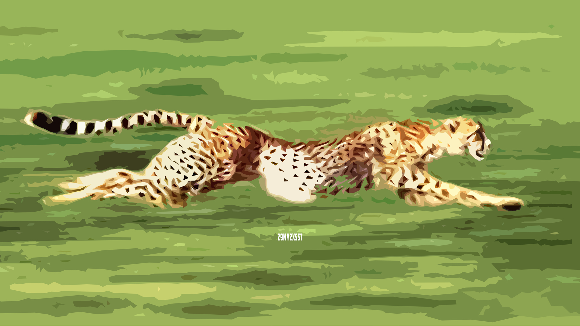 Artistic Big Cat Cheetah Hunting 2000x1125
