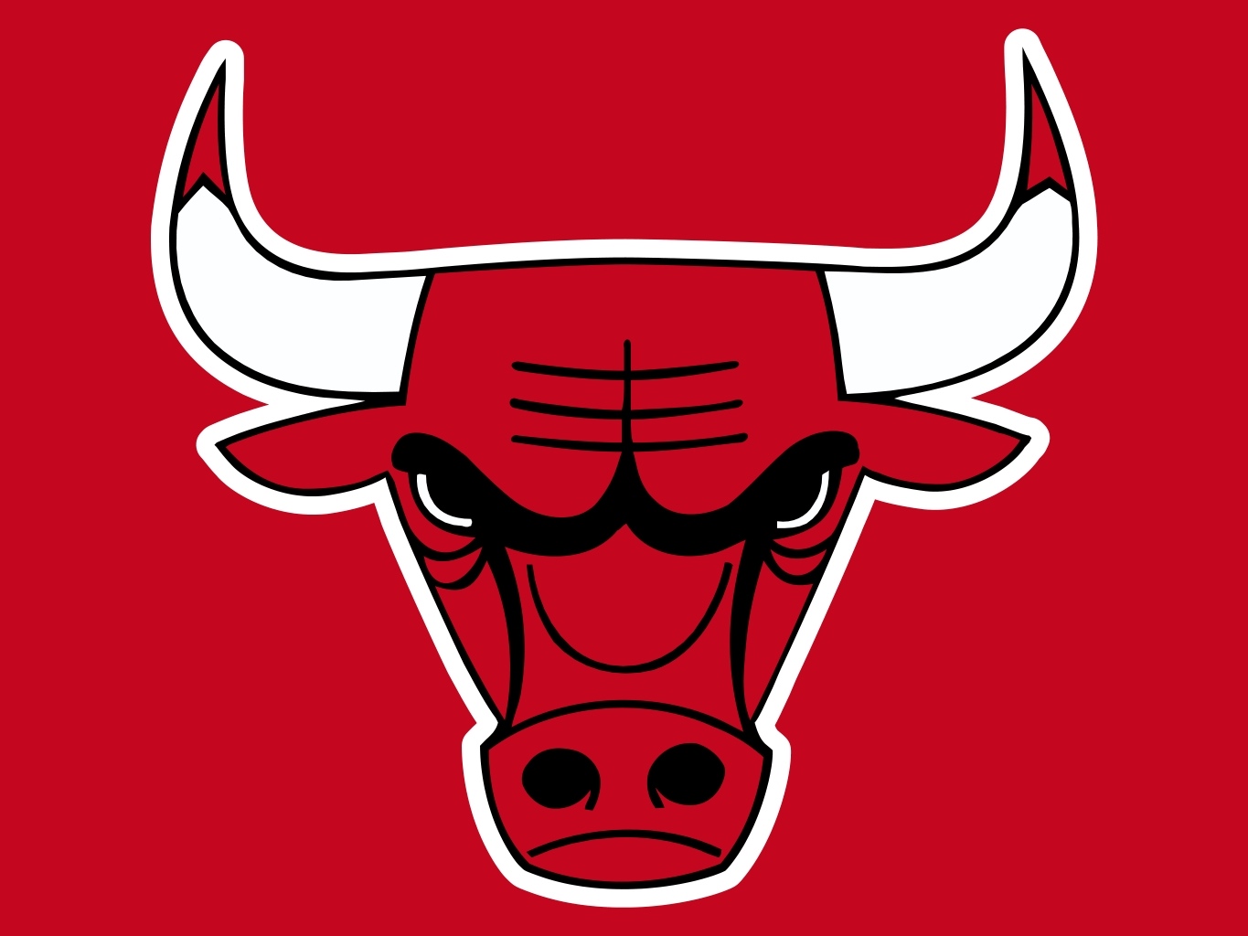 Sports Chicago Bulls 1365x1024