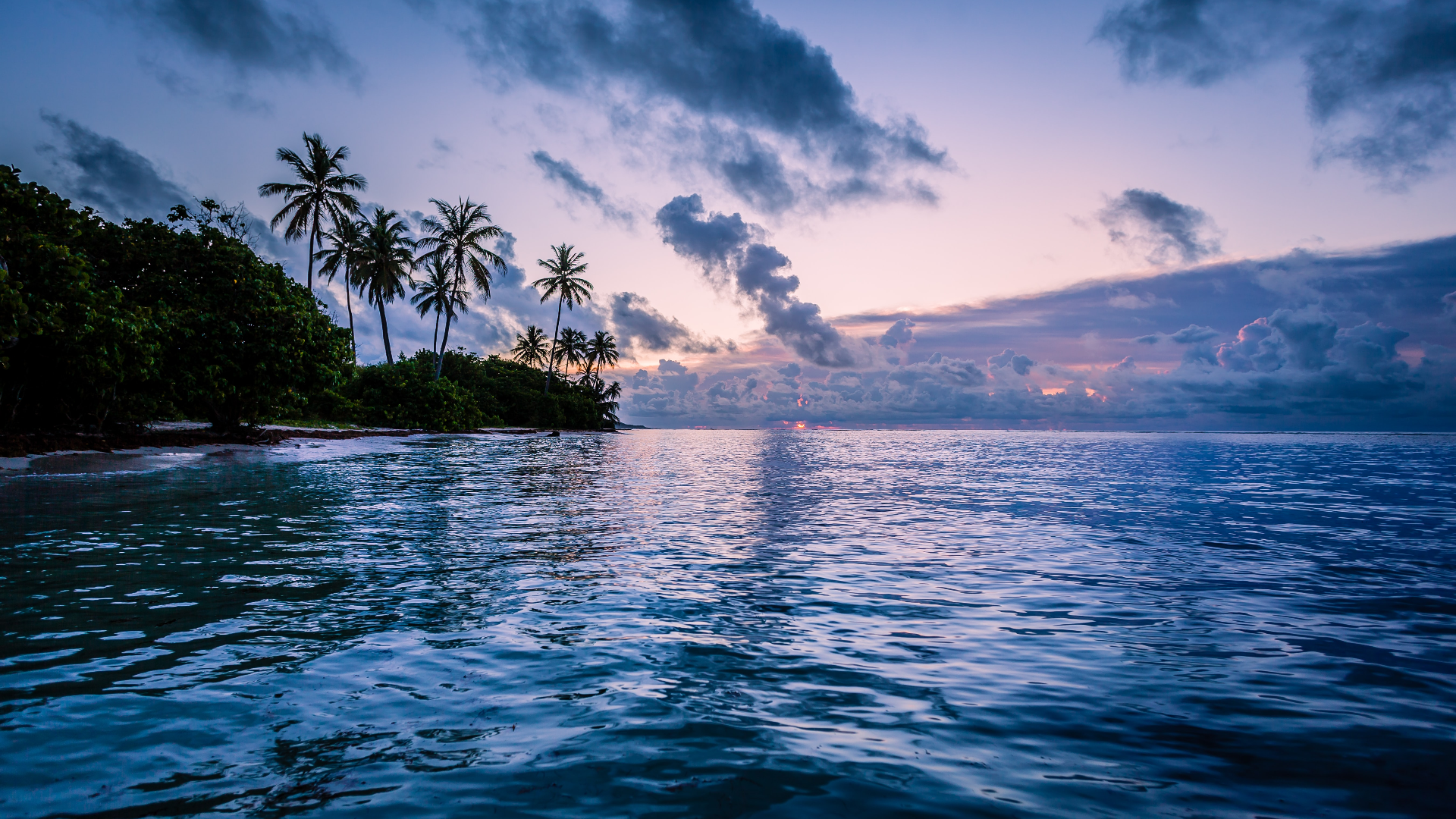 Nature Landscape Trees Clouds Water Beach Water Ripples Sunset Horizon Palm Trees Caribbean 1920x1080