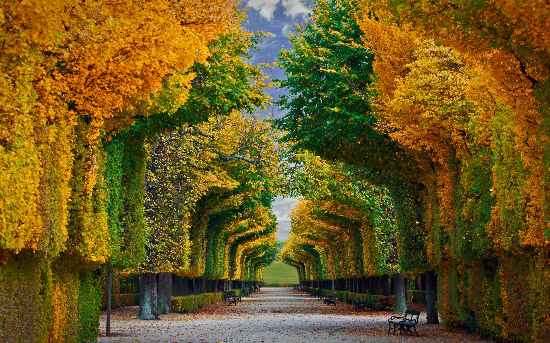 Austria Fall Foliage Garden Schonbrunn Palace Gardens Tree Vienna 1920x1200