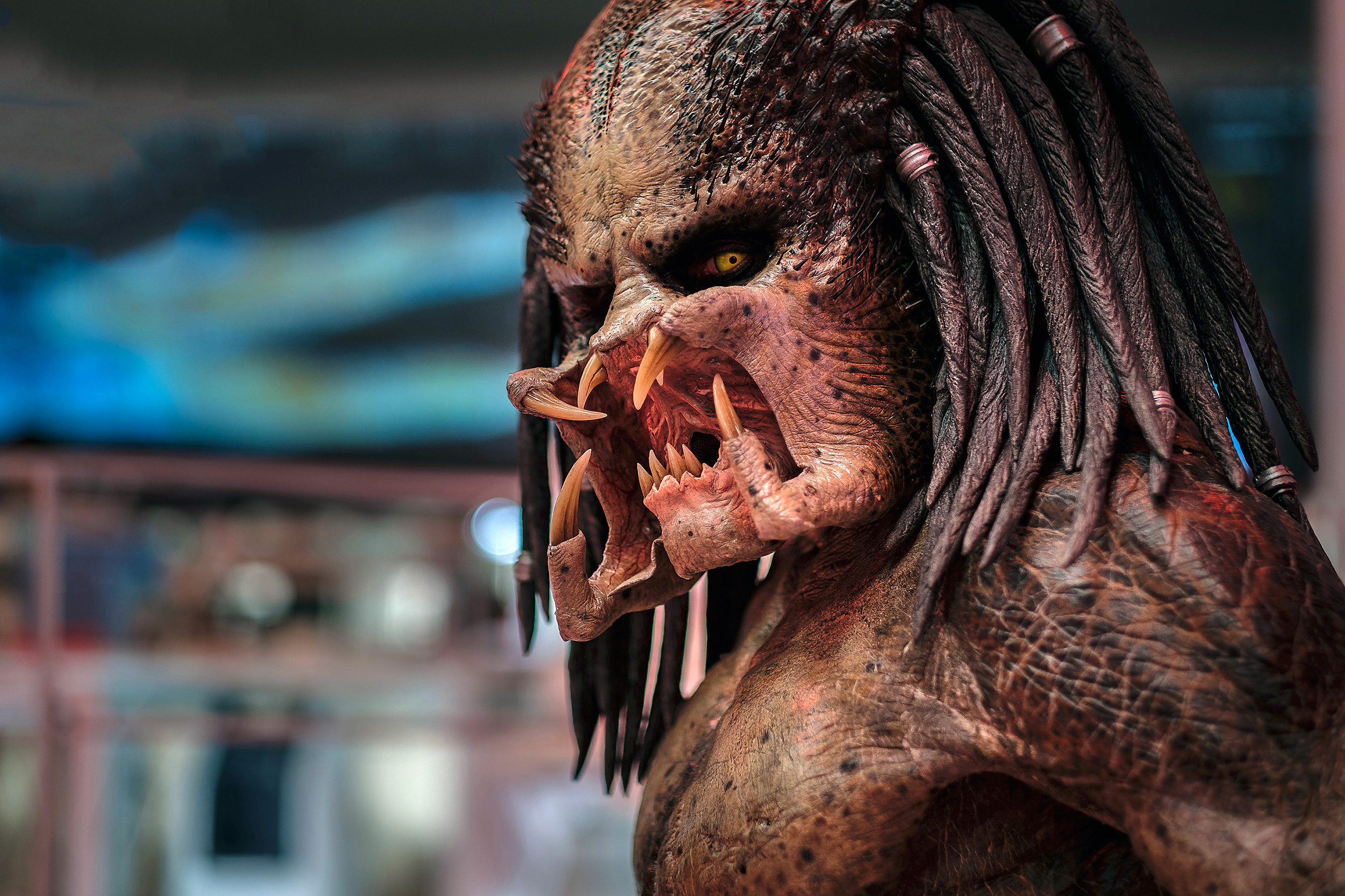 Alien Movie Predator Sci Fi The Predator Movie 2700x1800