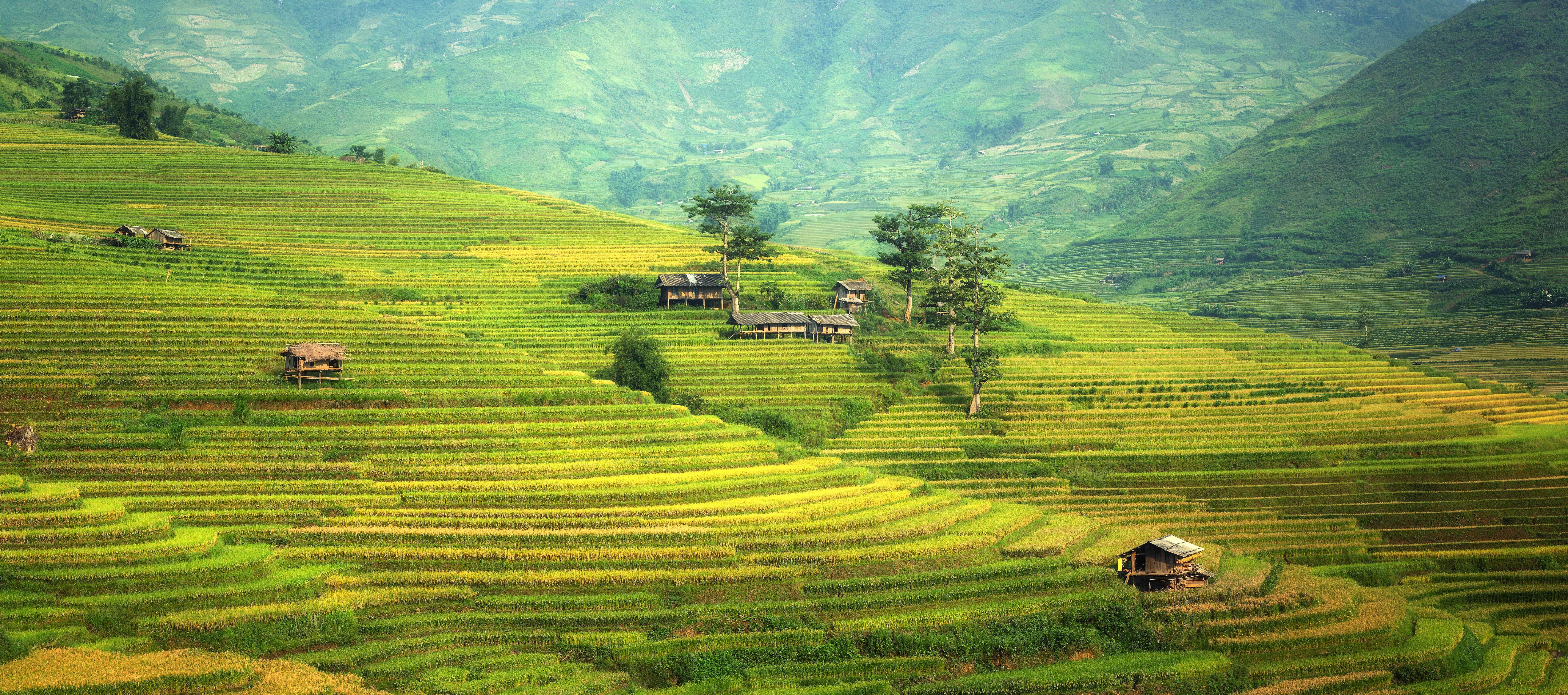 Landscape Rice Terrace 7446x3299