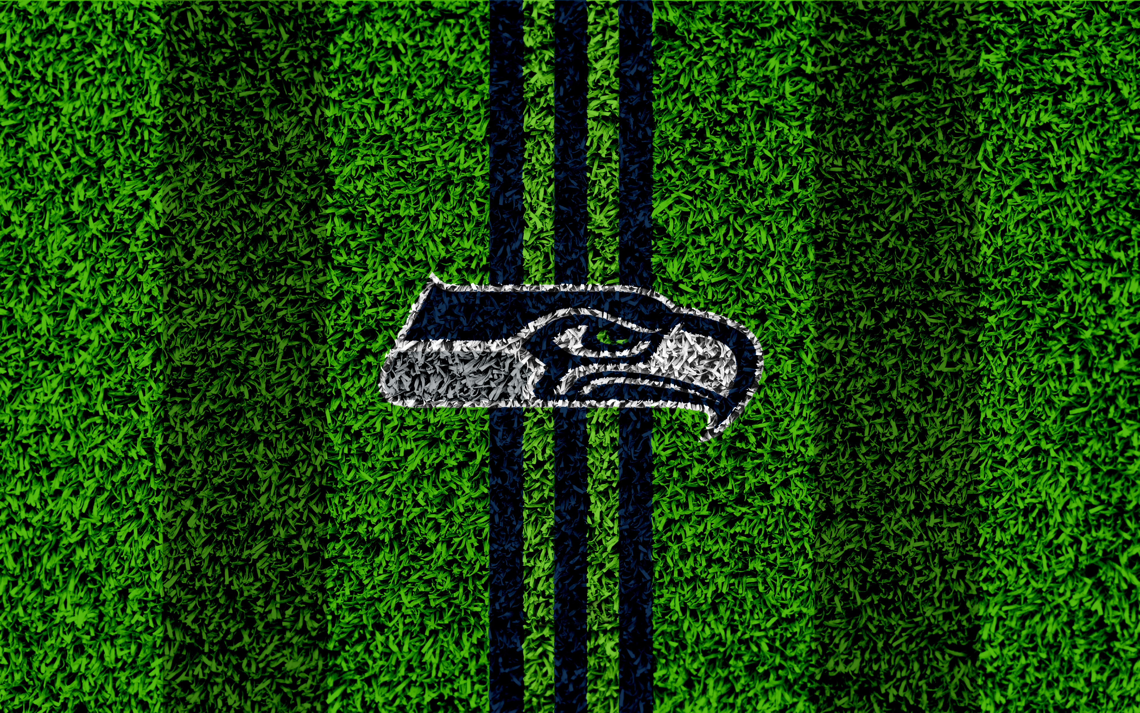 Emblem Logo Nfl Seattle Seahawks 3840x2400