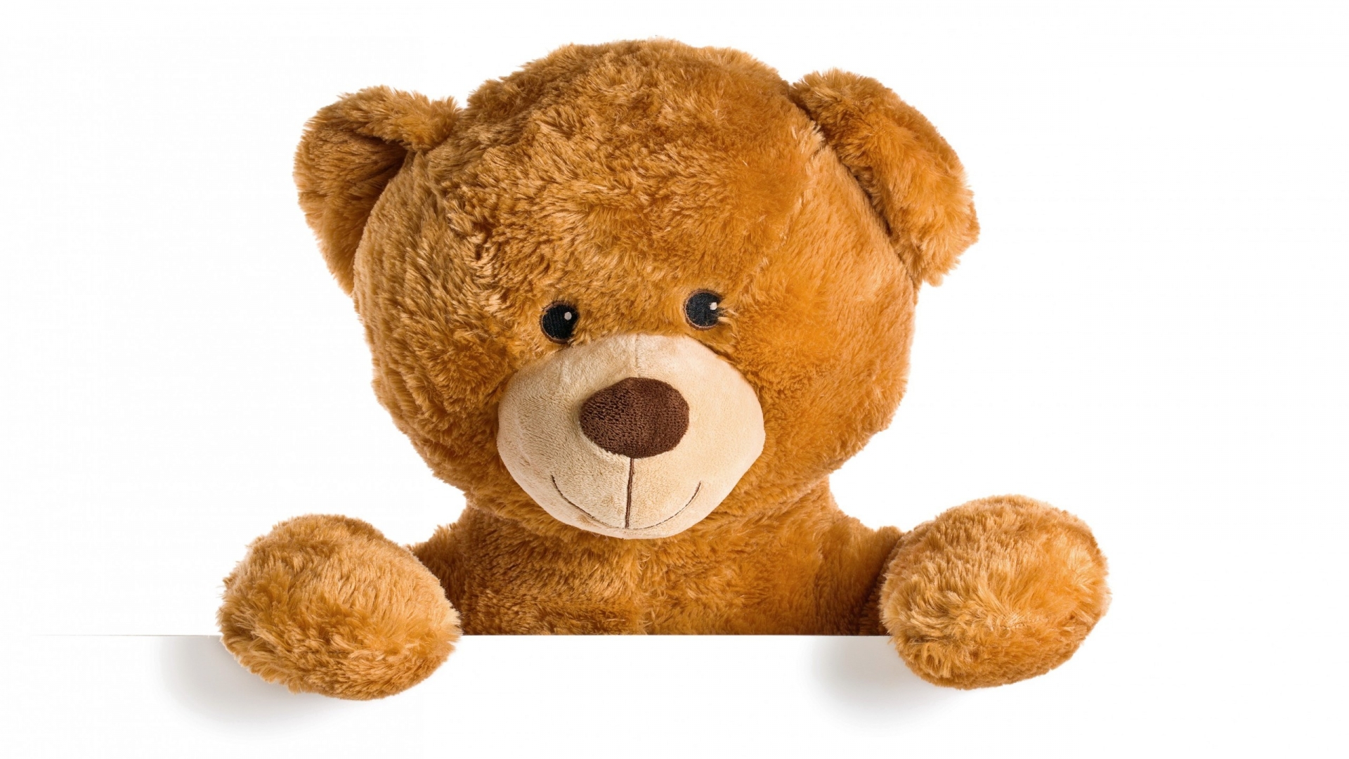 Cute Teddy Bear 1920x1080