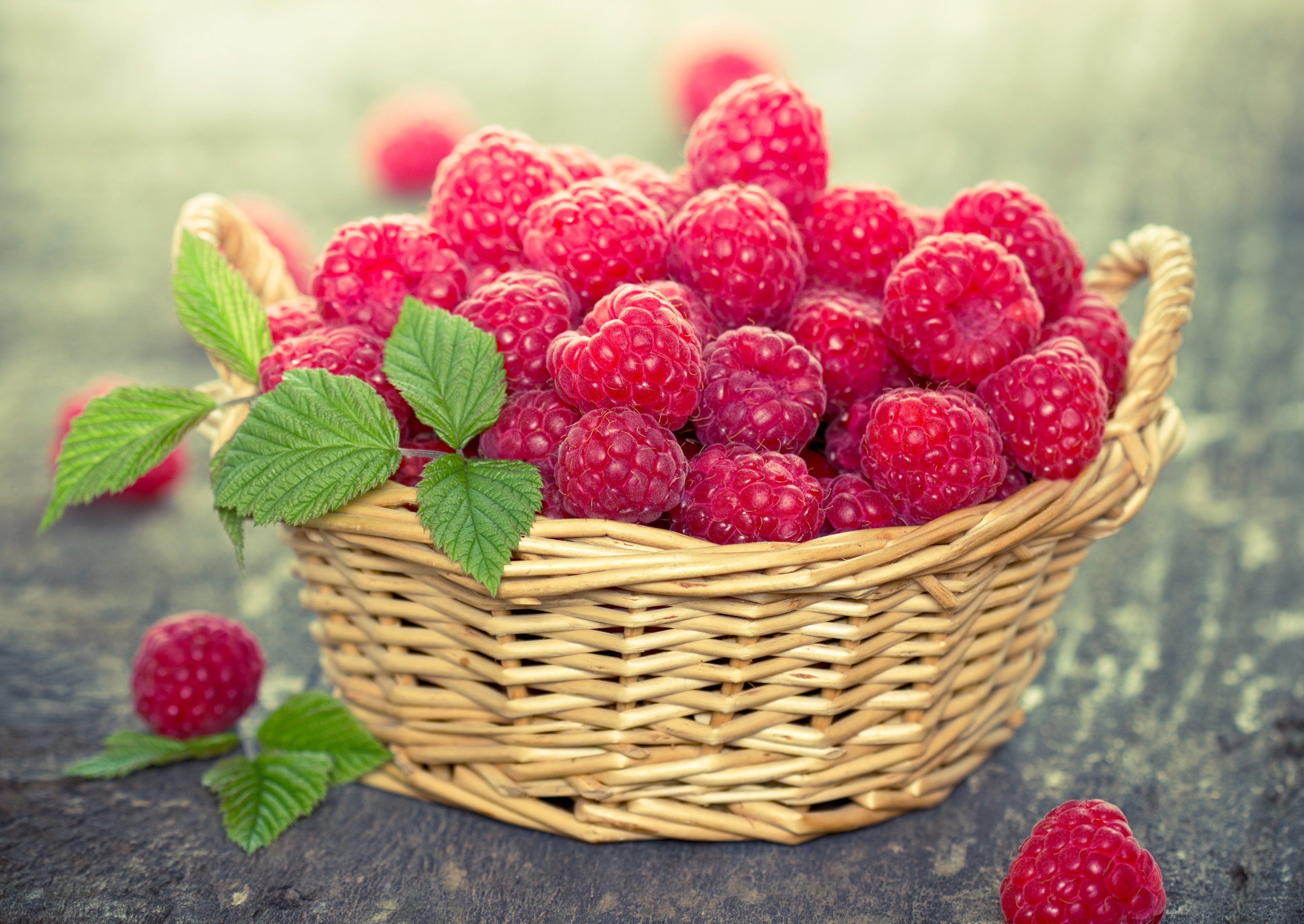 Basket Berry Fruit Raspberry Still Life 2880x2042