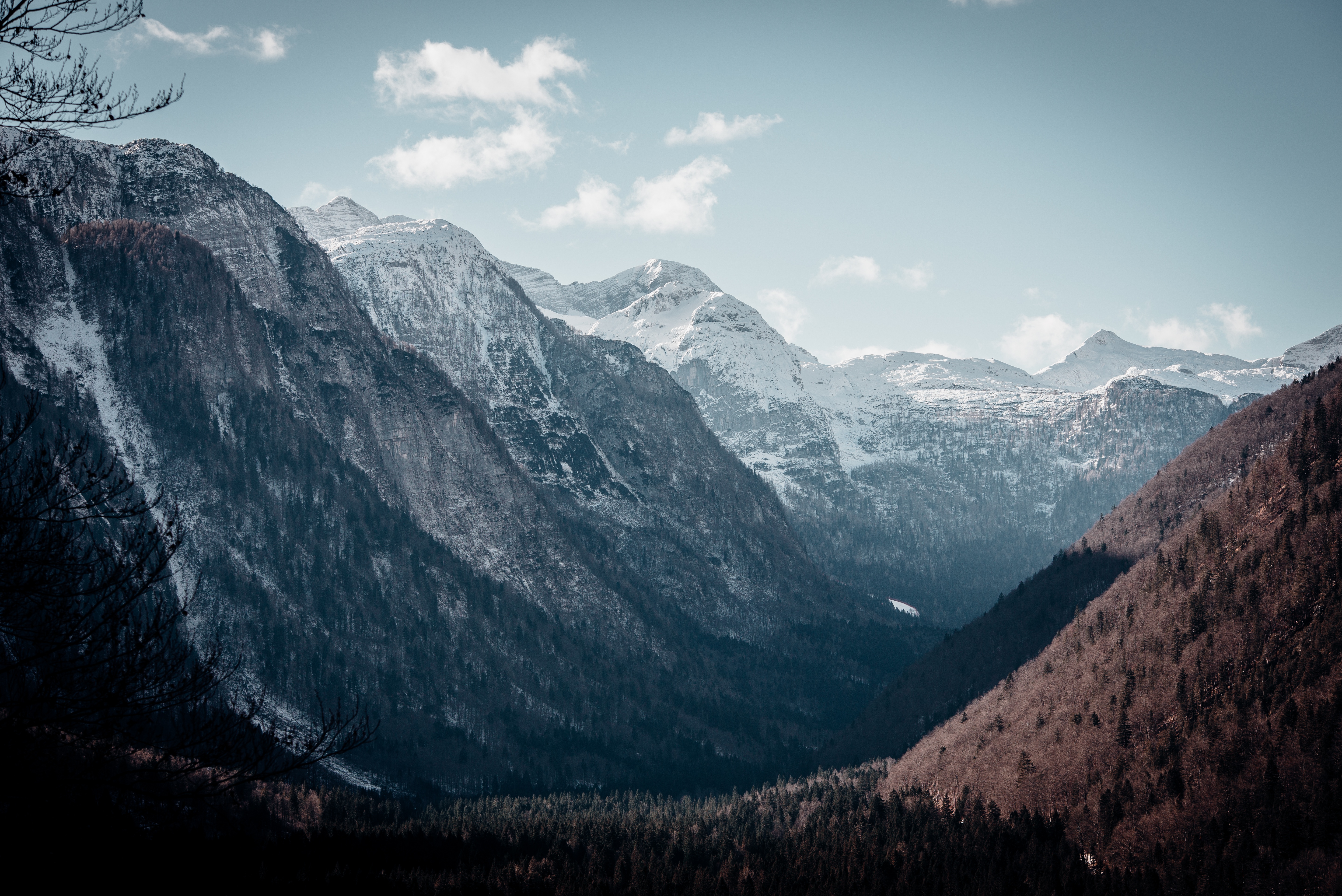 Forest Mountain Nature Valley 5752x3840