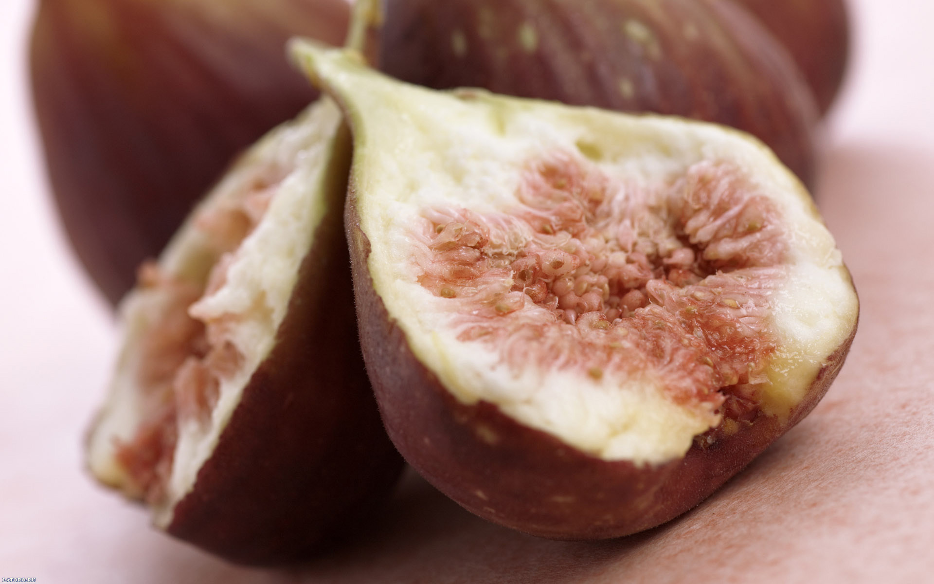 Food Fig 1920x1200