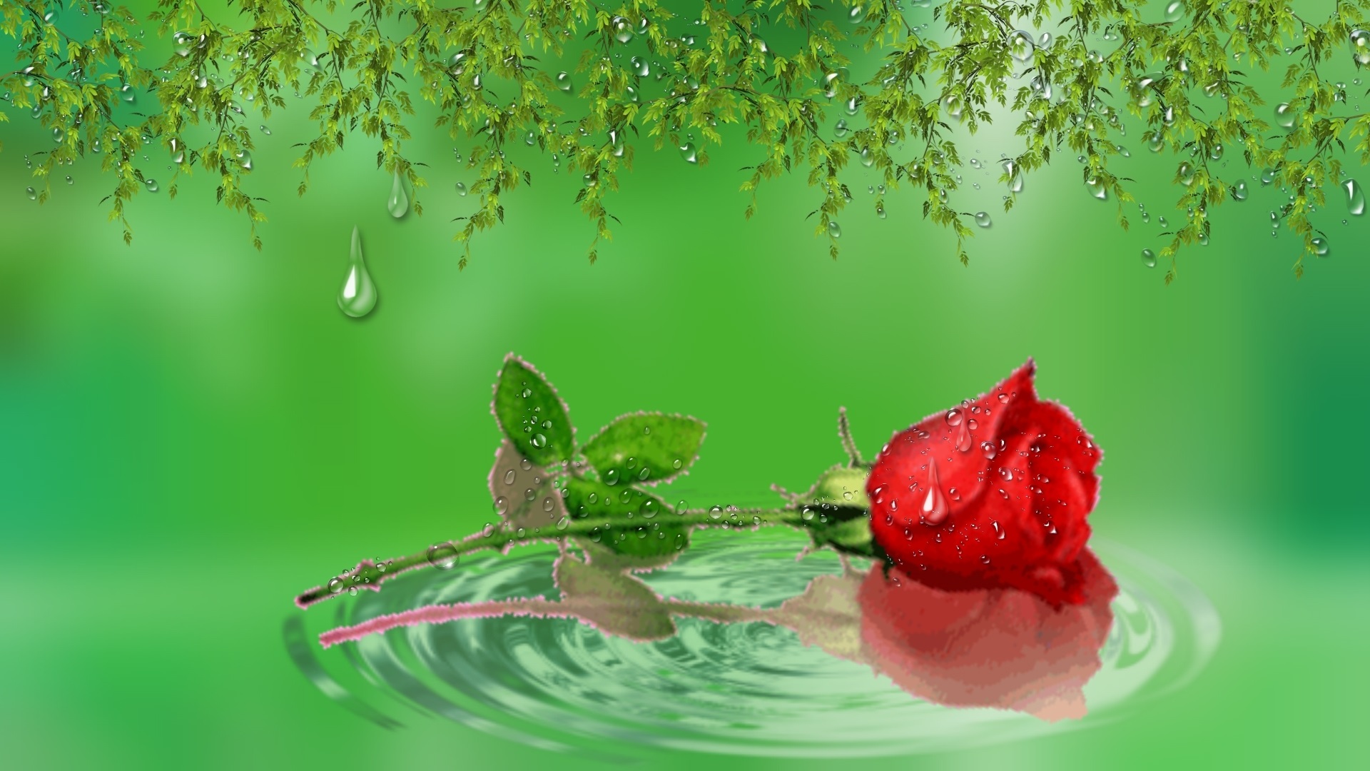 Reflection Ripple Rose Water 1920x1080