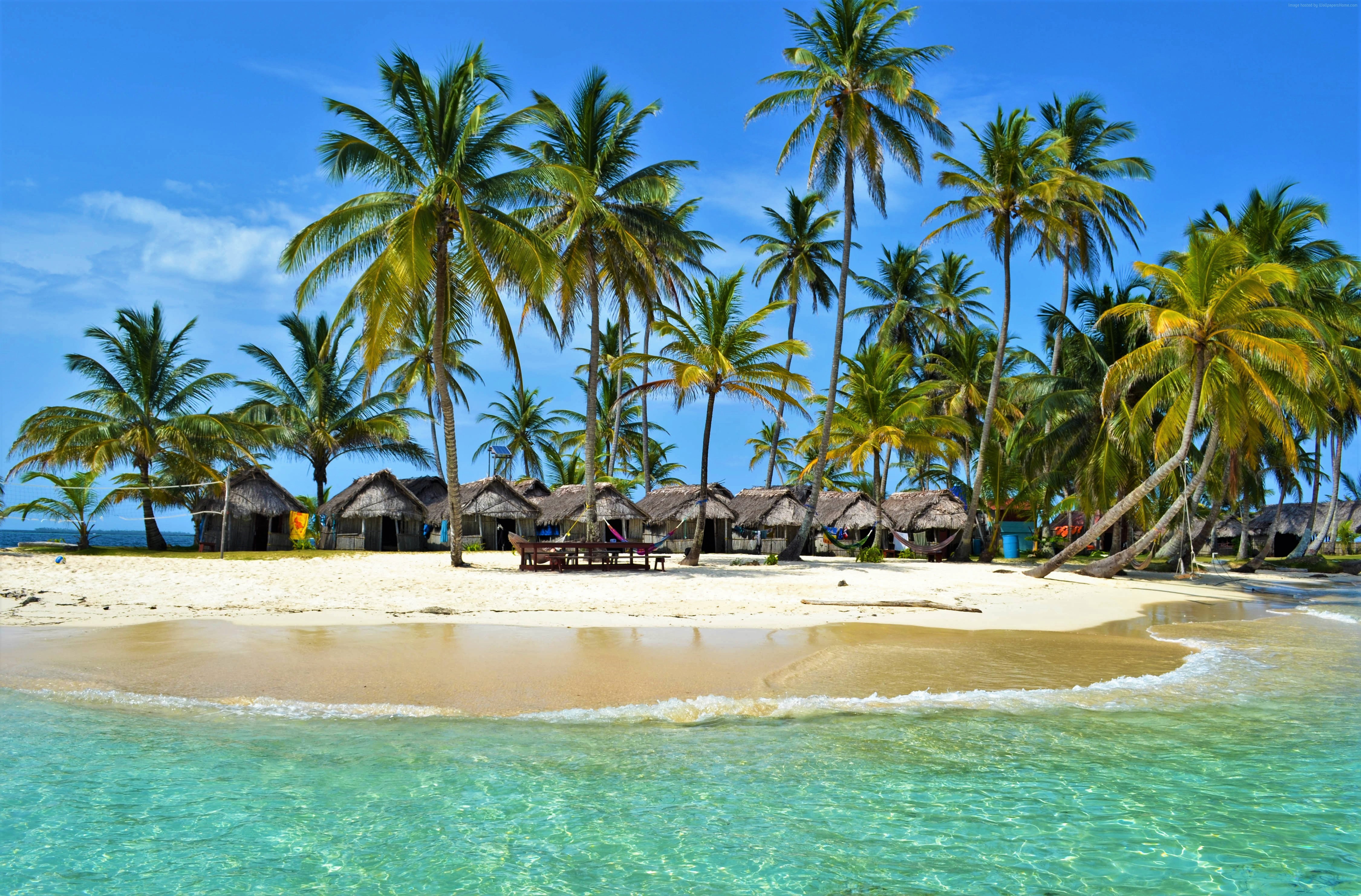 Hut Island Maldives Ocean Palm Tree Resort Sea Tropical 4501x2965