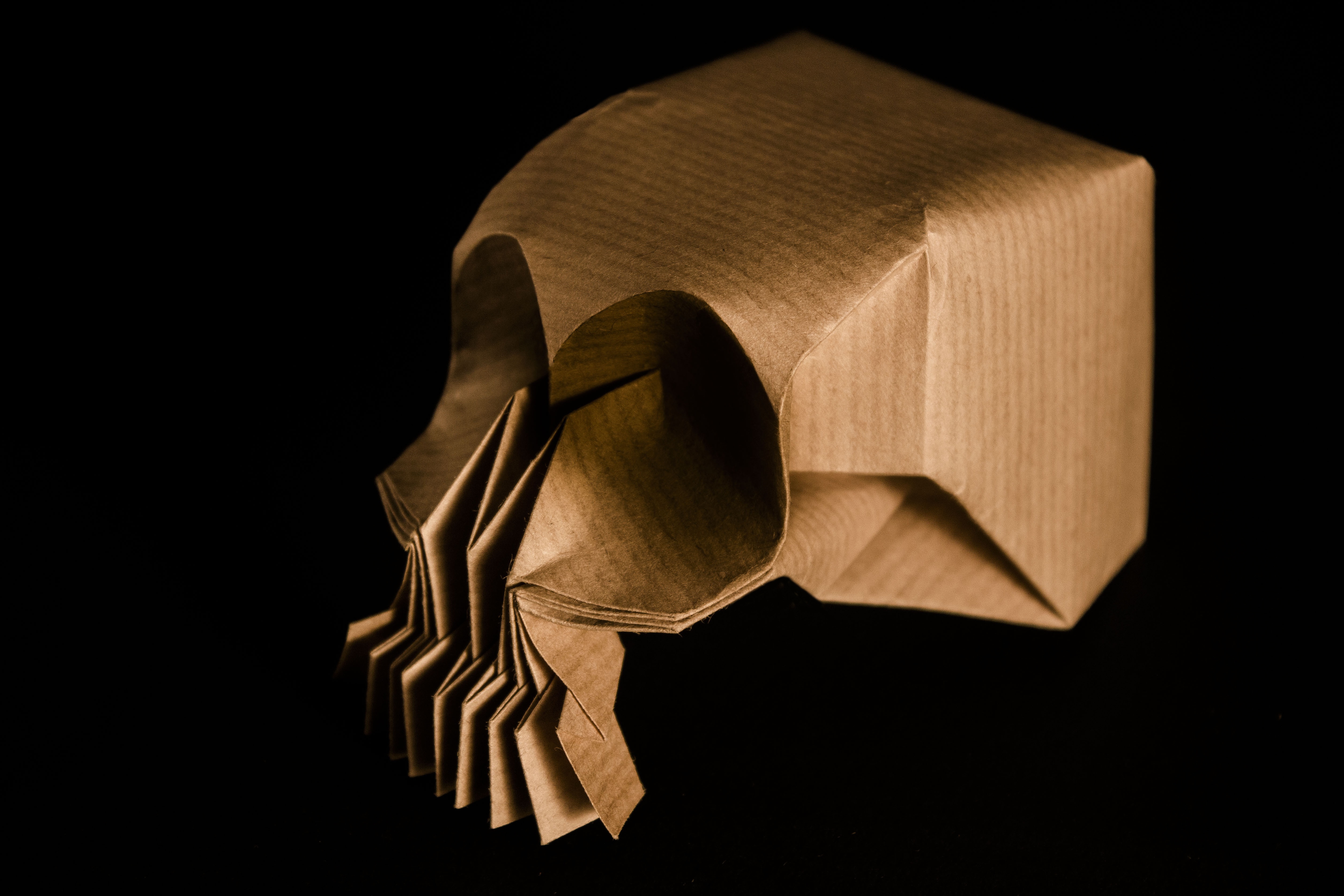 Origami Skull 5015x3343