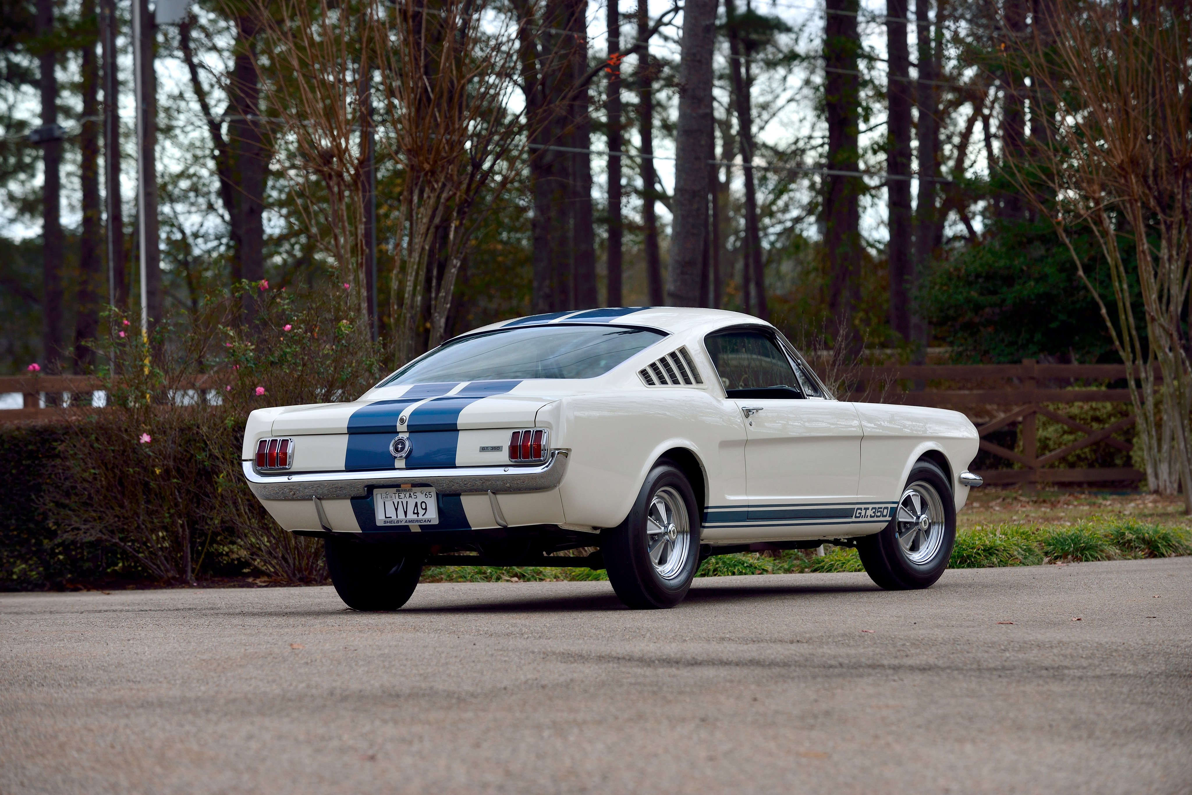 Car Fastback Muscle Car Shelby Mustang Gt350 White Car 4096x2734
