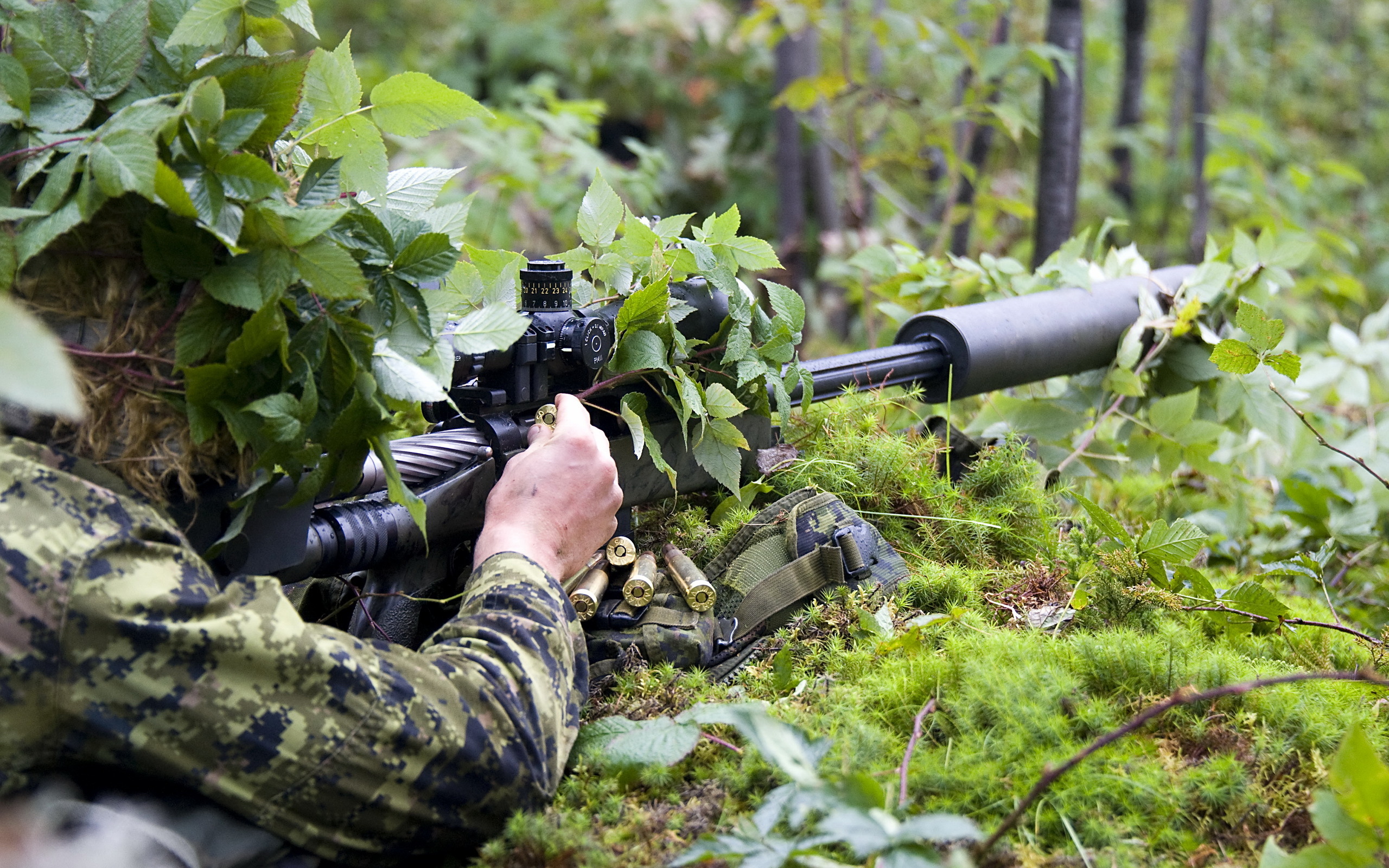 Forest Gun Jungle Sniper Soldier Weapon 2560x1600