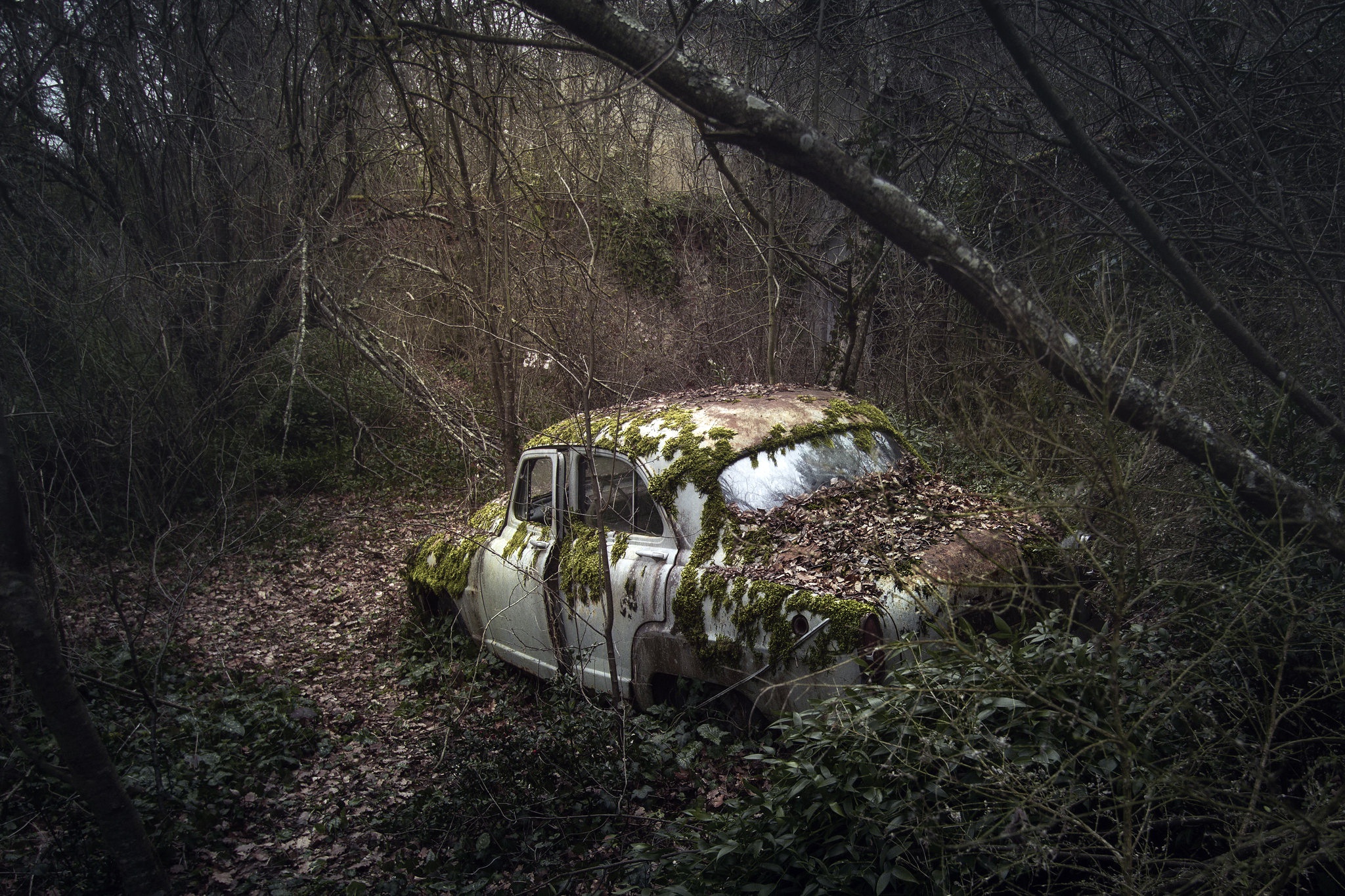Abandoned Car Moss 2048x1365