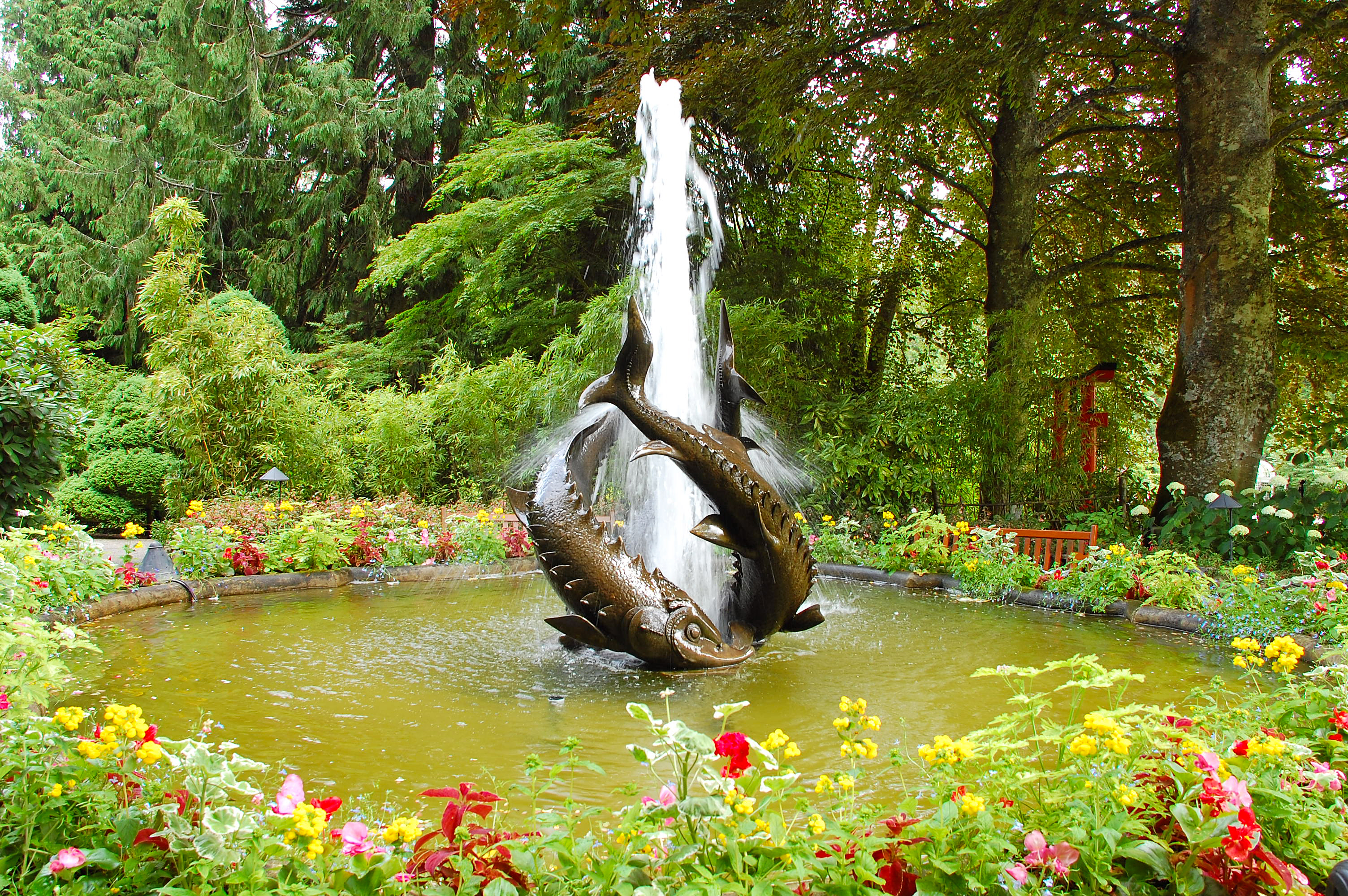 Flower Fountain Garden Park Statue Water 3008x2000