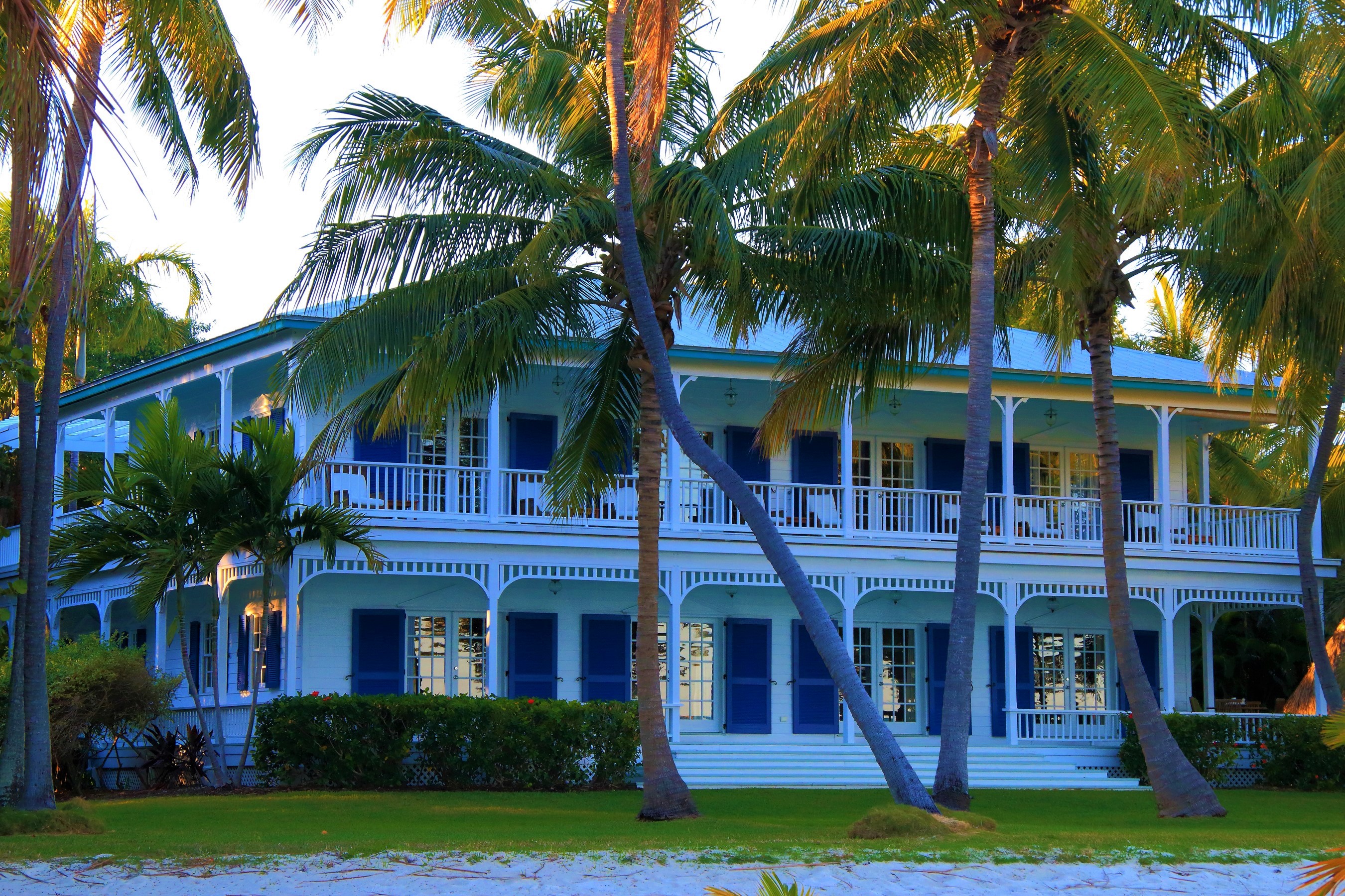 House Mansion Palm Tree 2700x1800