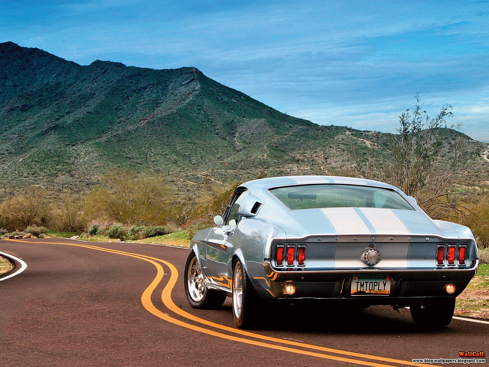 Fastback Muscle Car Shelby Gt500 1600x1200