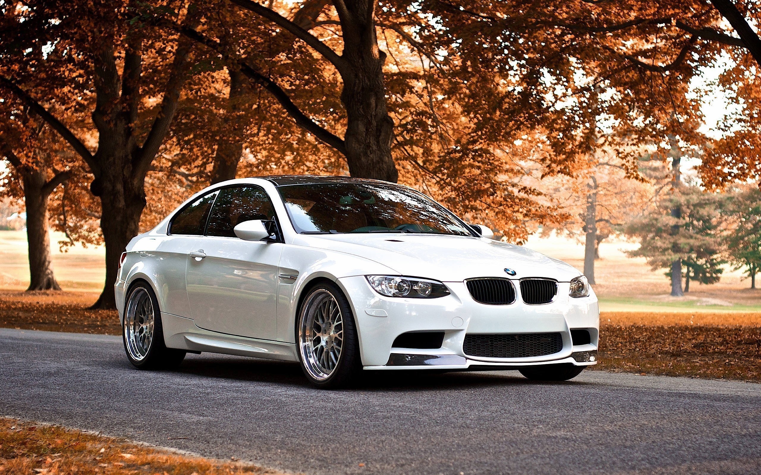 Bmw M3 Coupe Luxury Car White Car 2560x1600