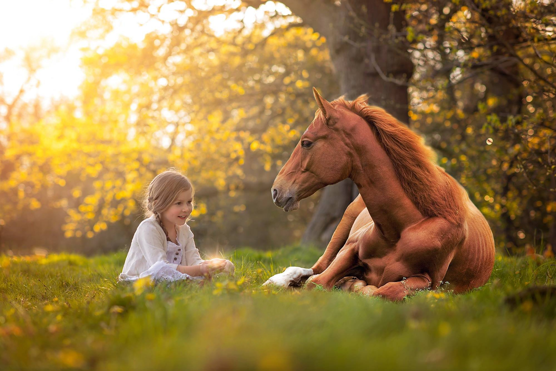 Artistic Child Girl Horse Little Girl 1920x1282