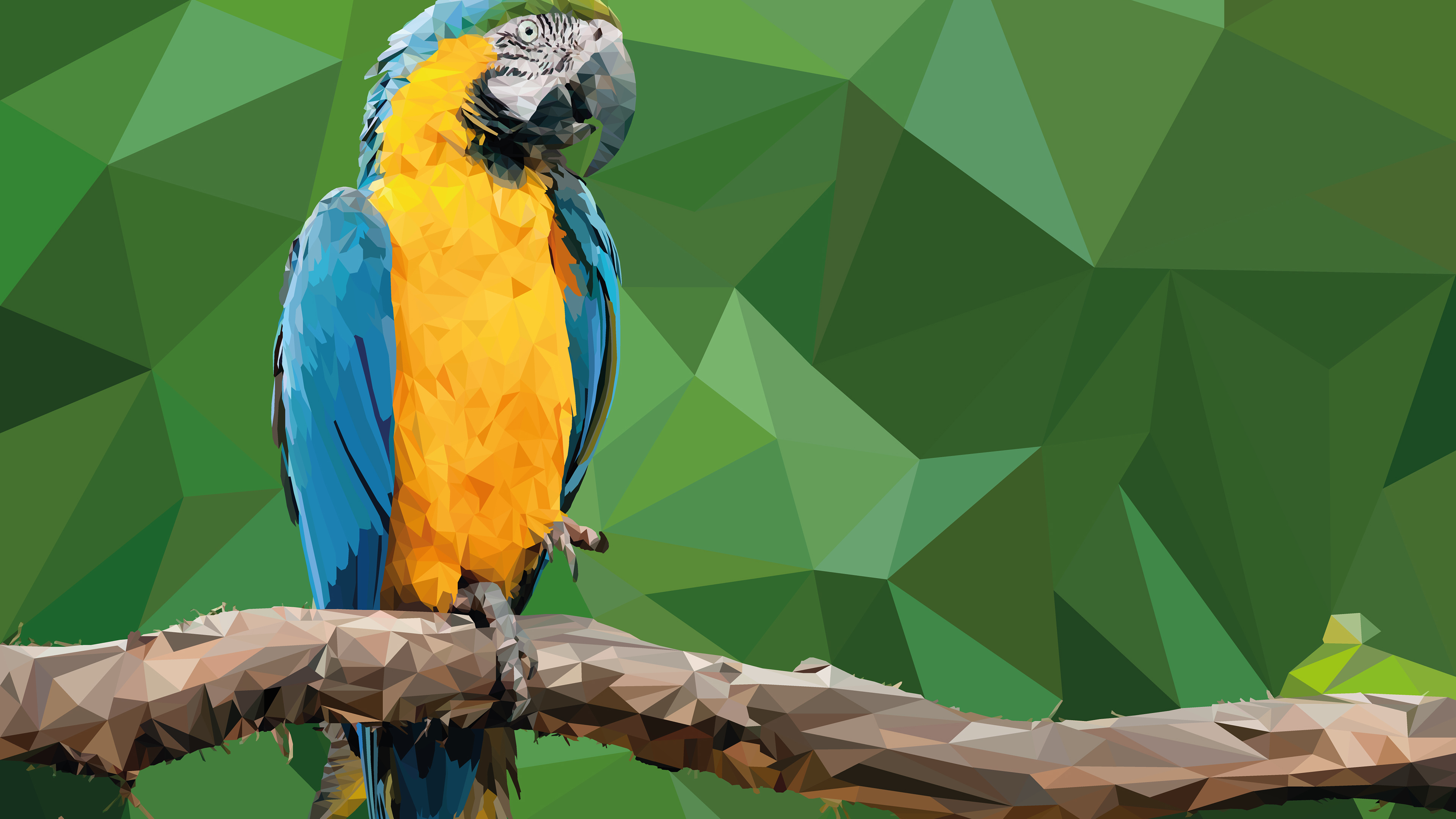 Facets Macaw 3840x2160