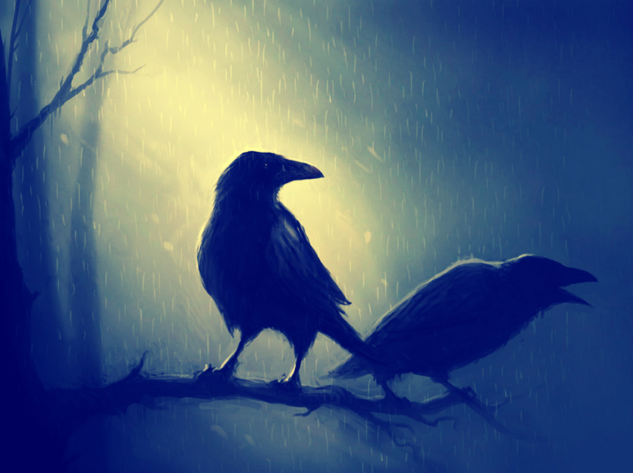 Animal Bird Dark Raven 1298x970