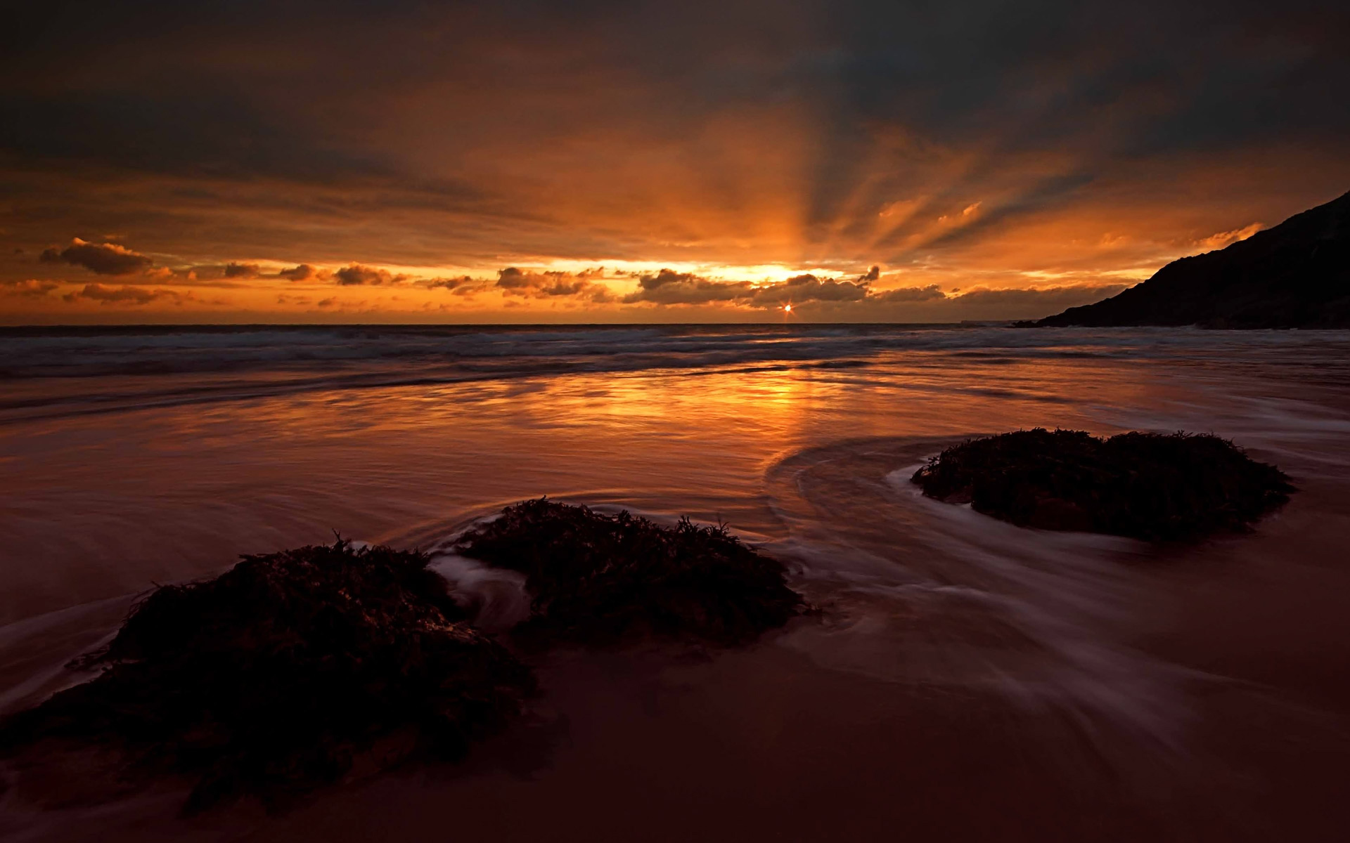 Beach Cloud Earth Horizon Ocean Sea Seaweed Sunset 1920x1200