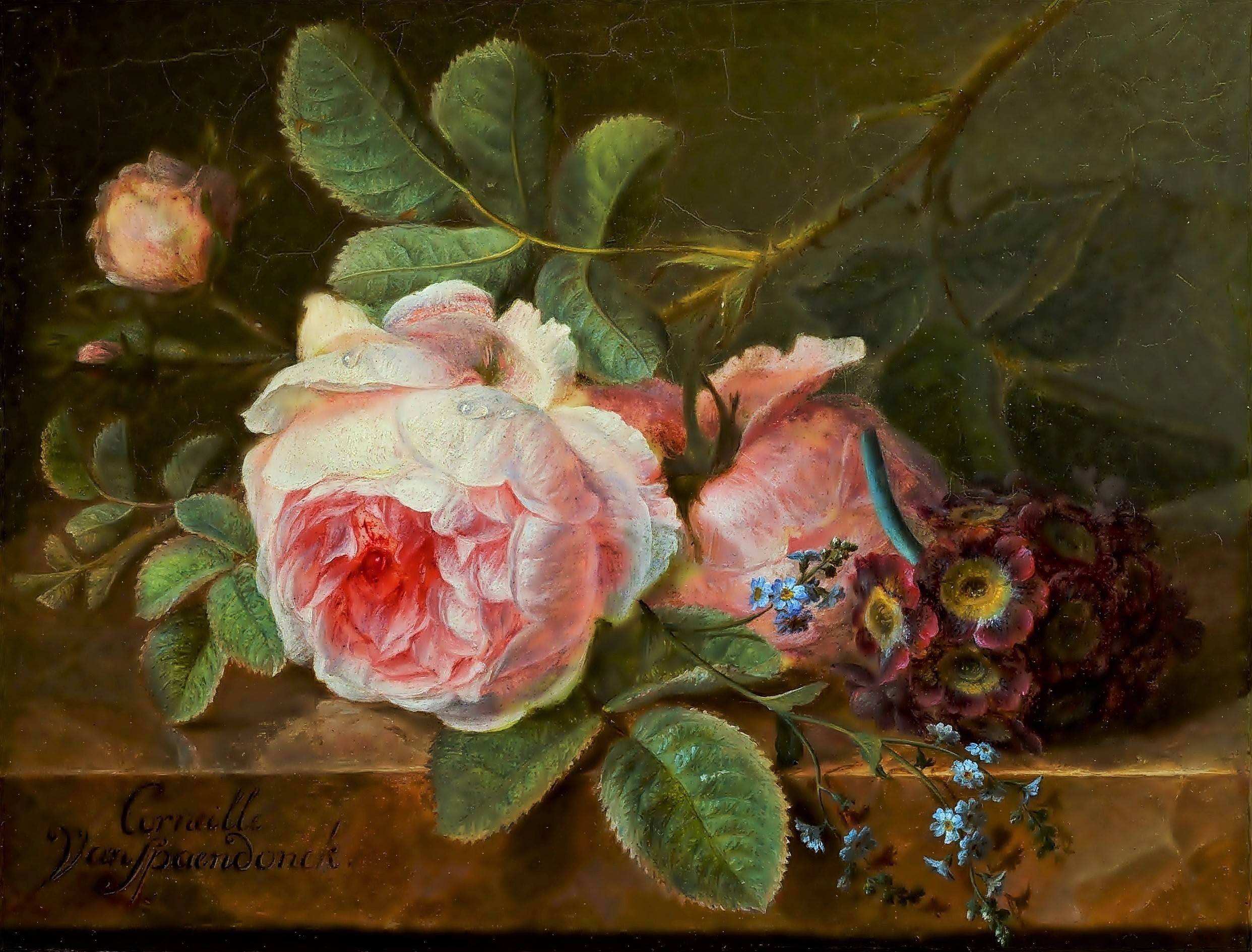 Artistic Flower Painting Pink Rose Rose Still Life 2484x1889