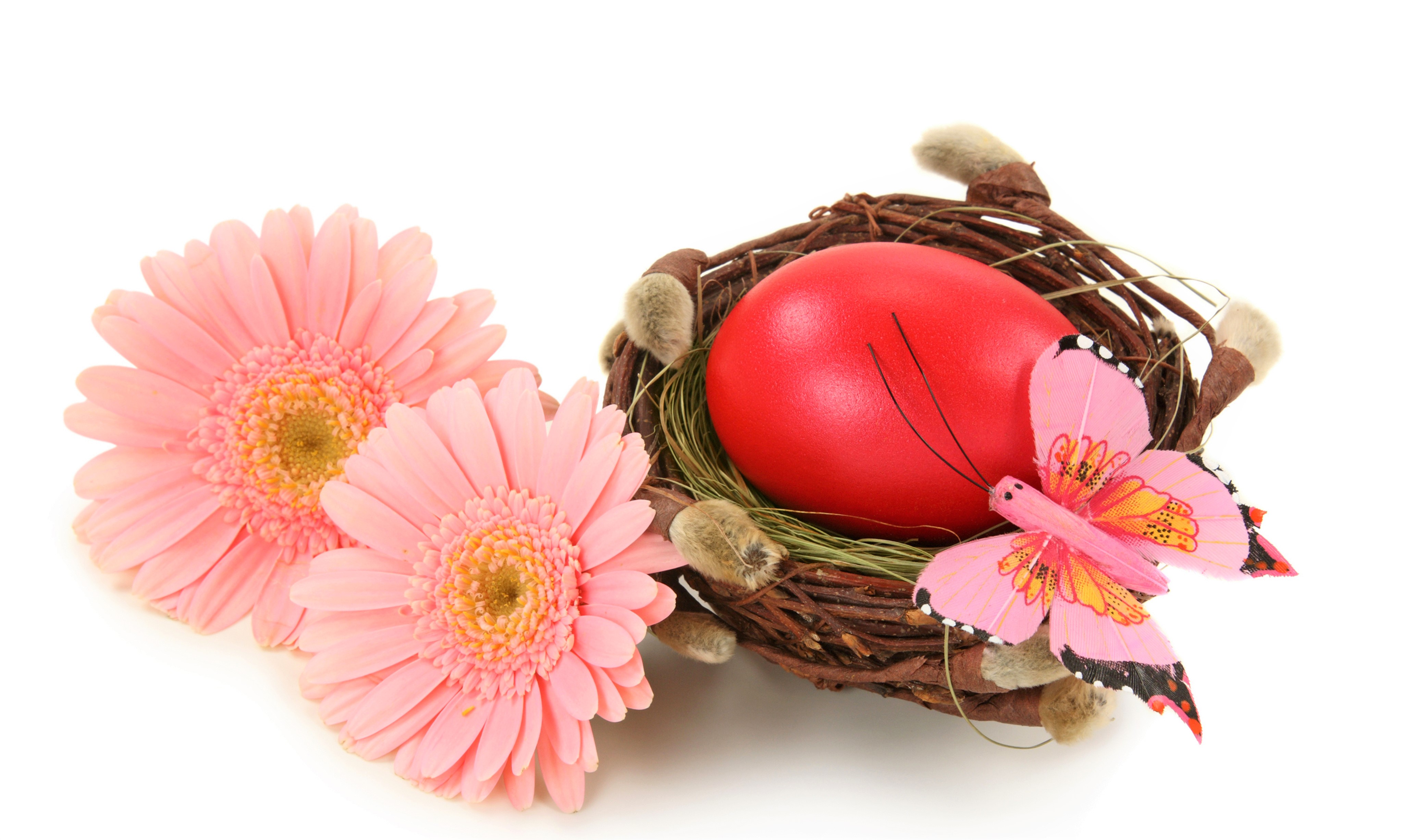 Easter Easter Egg Flower Gerbera Nest Pink Flower 4092x2453