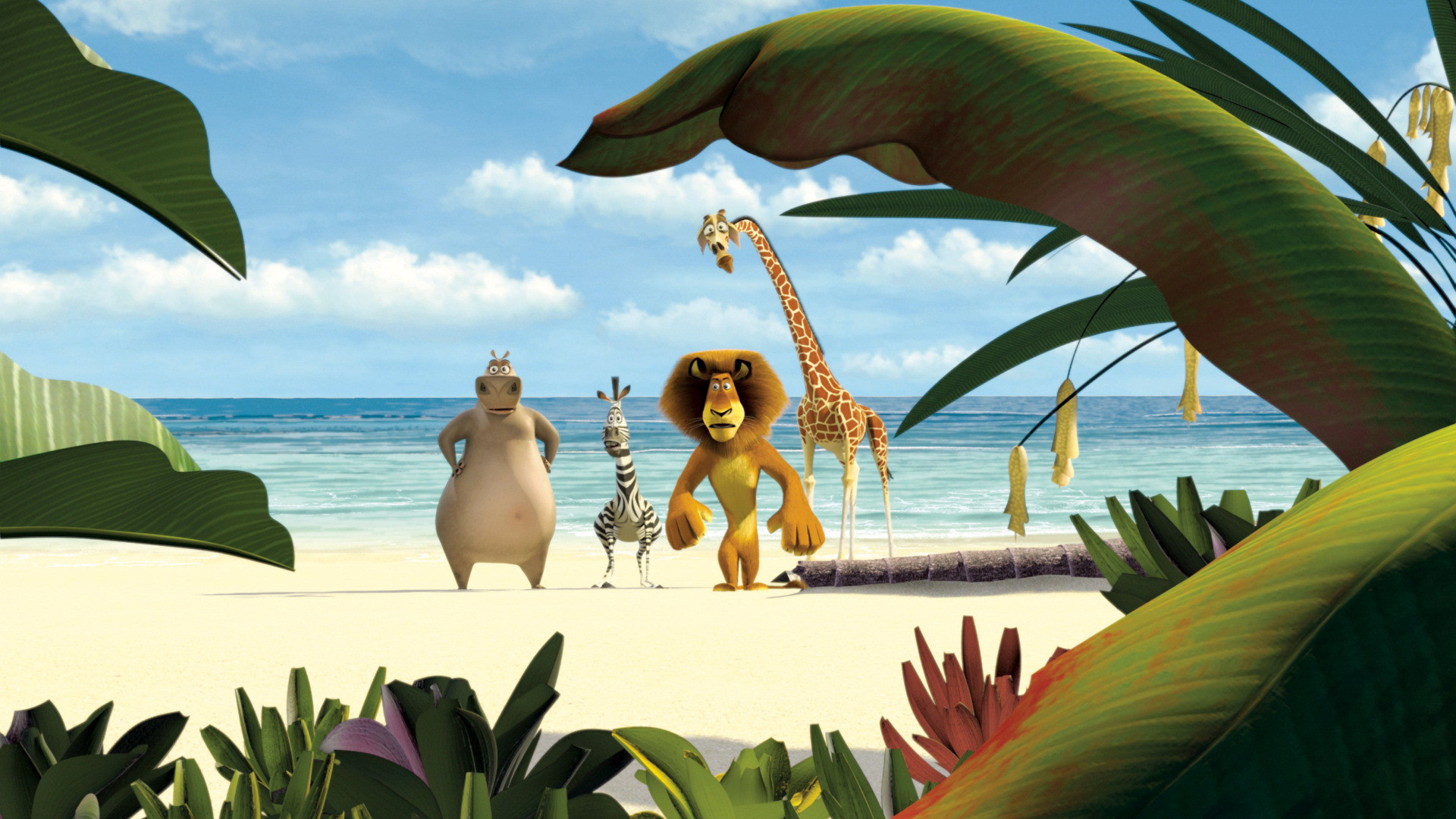 Movie Madagascar 1920x1080